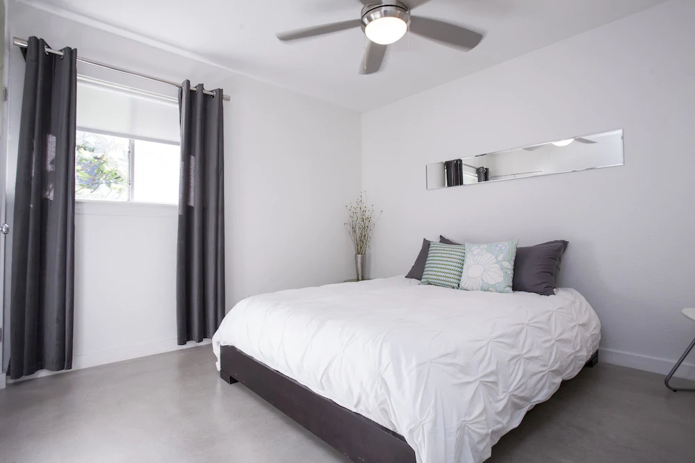 Travis Heights Modern 1
