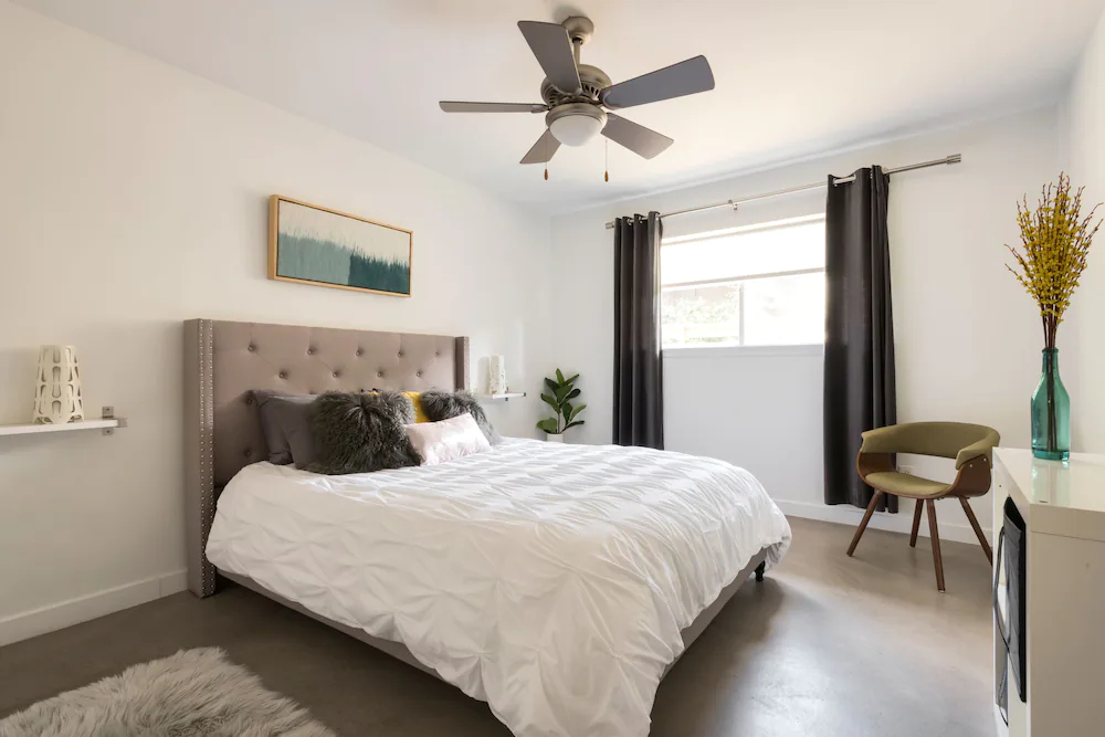 Travis Heights Modern 1