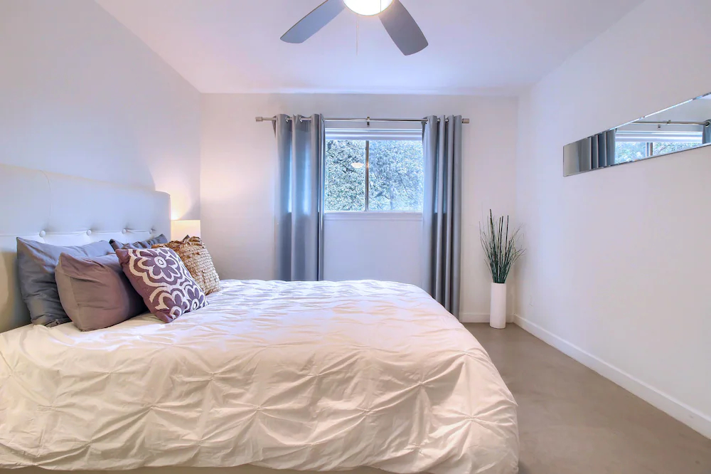Travis Heights Modern 1