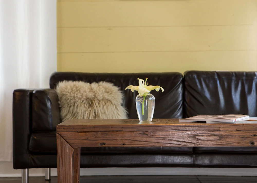 Travis Heights Modern 1