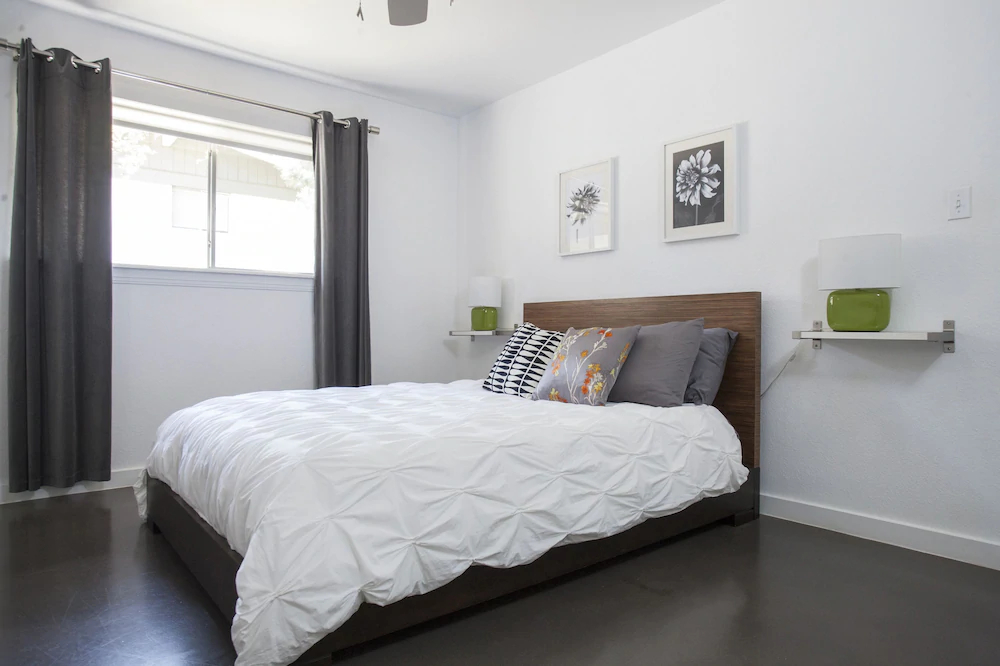 Travis Heights Modern 1