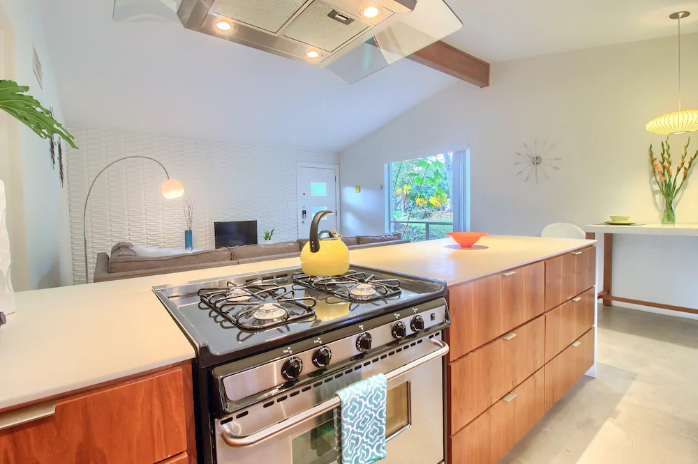 Travis Heights Modern 1