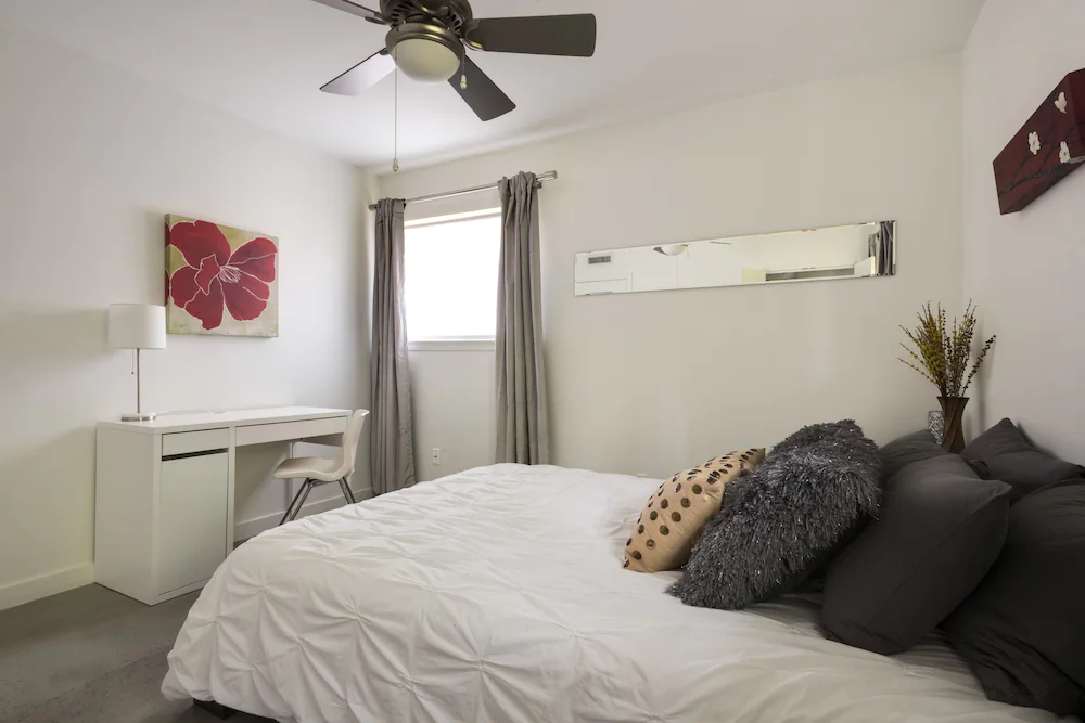 Travis Heights Modern 1