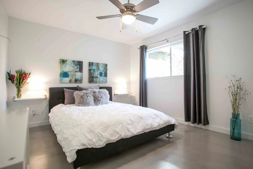 Travis Heights Modern 1