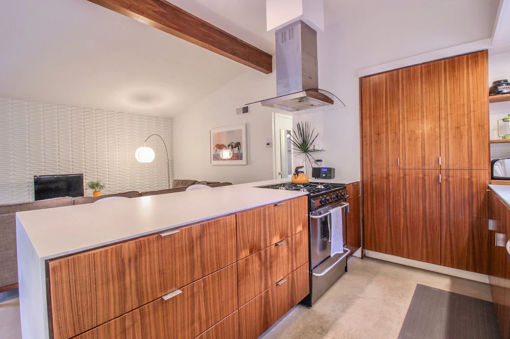 Travis Heights Modern 1
