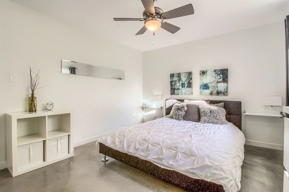 Travis Heights Modern 1