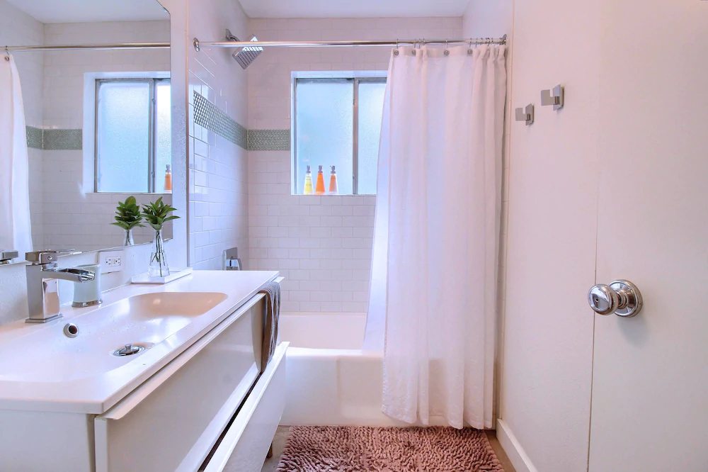 Travis Heights Modern 1