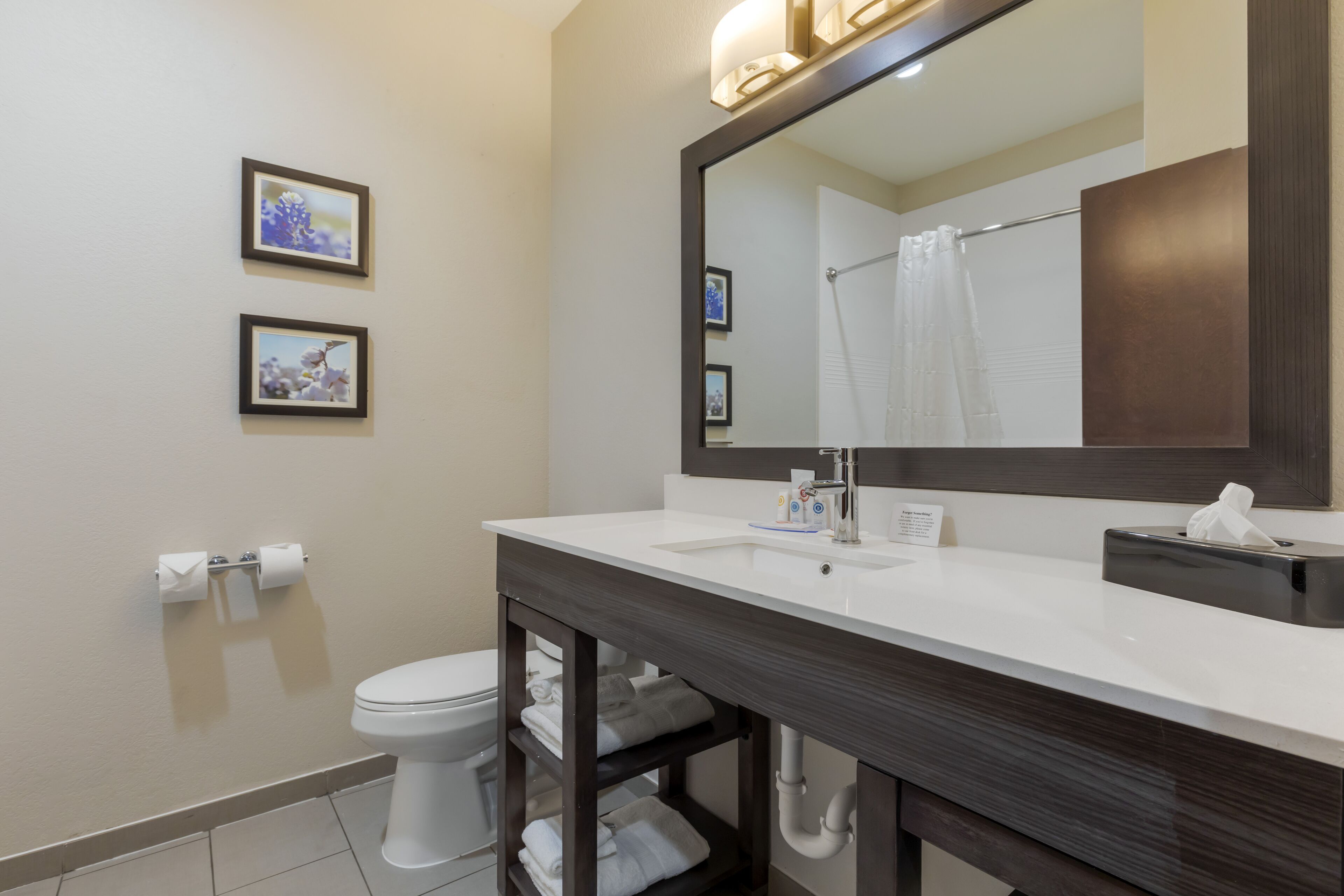 Comfort Inn & Suites Balch Springs - SE Dallas