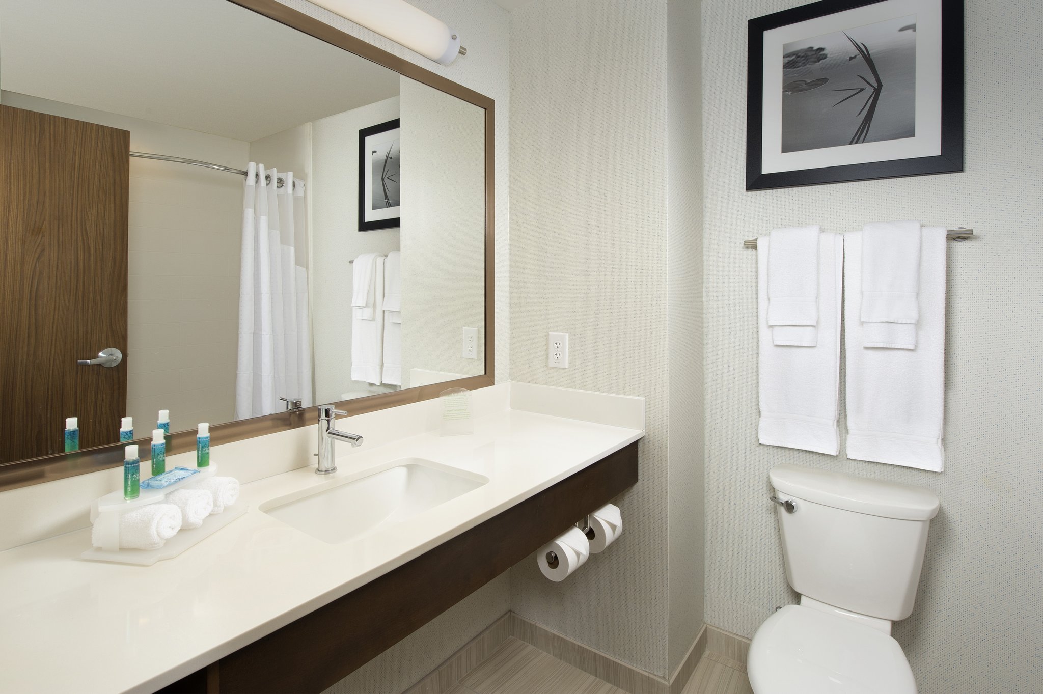 Holiday Inn Express & Suites Bay City