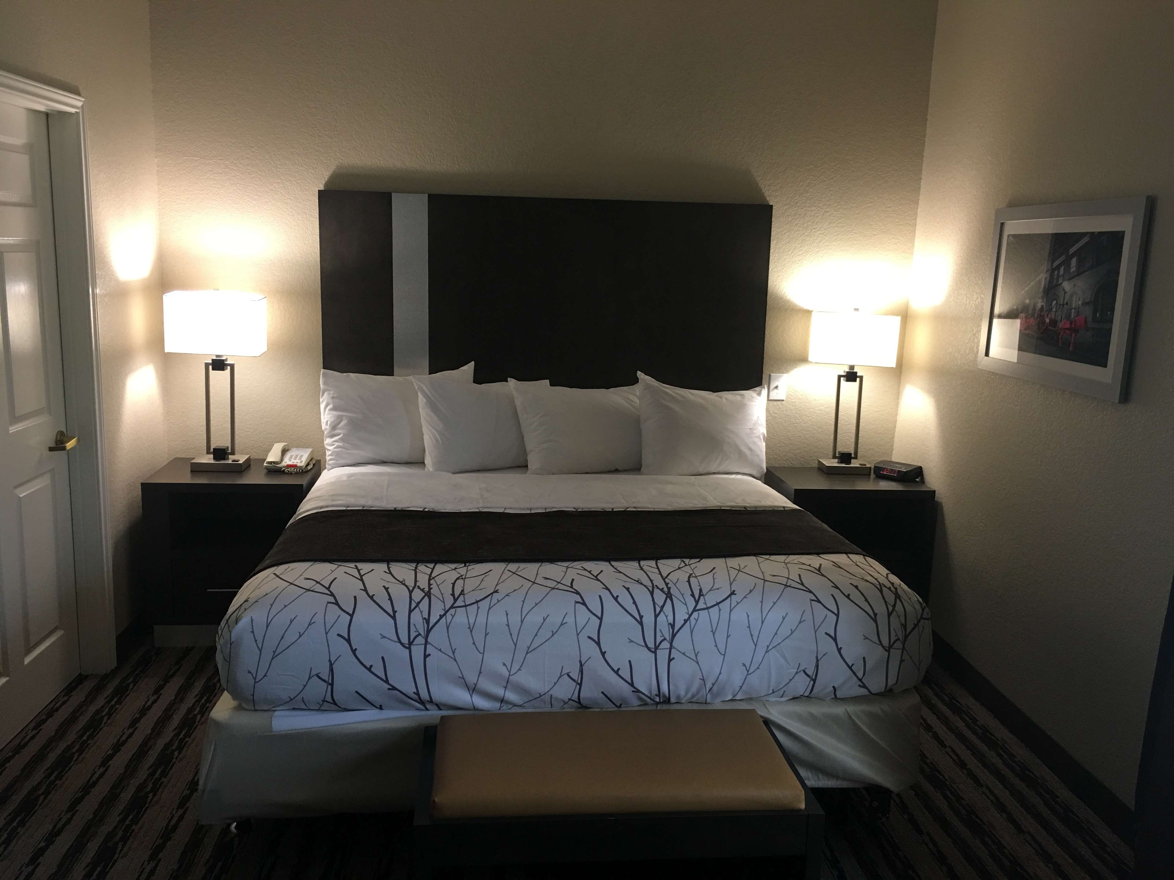 Best Western Boerne Inn & Suites