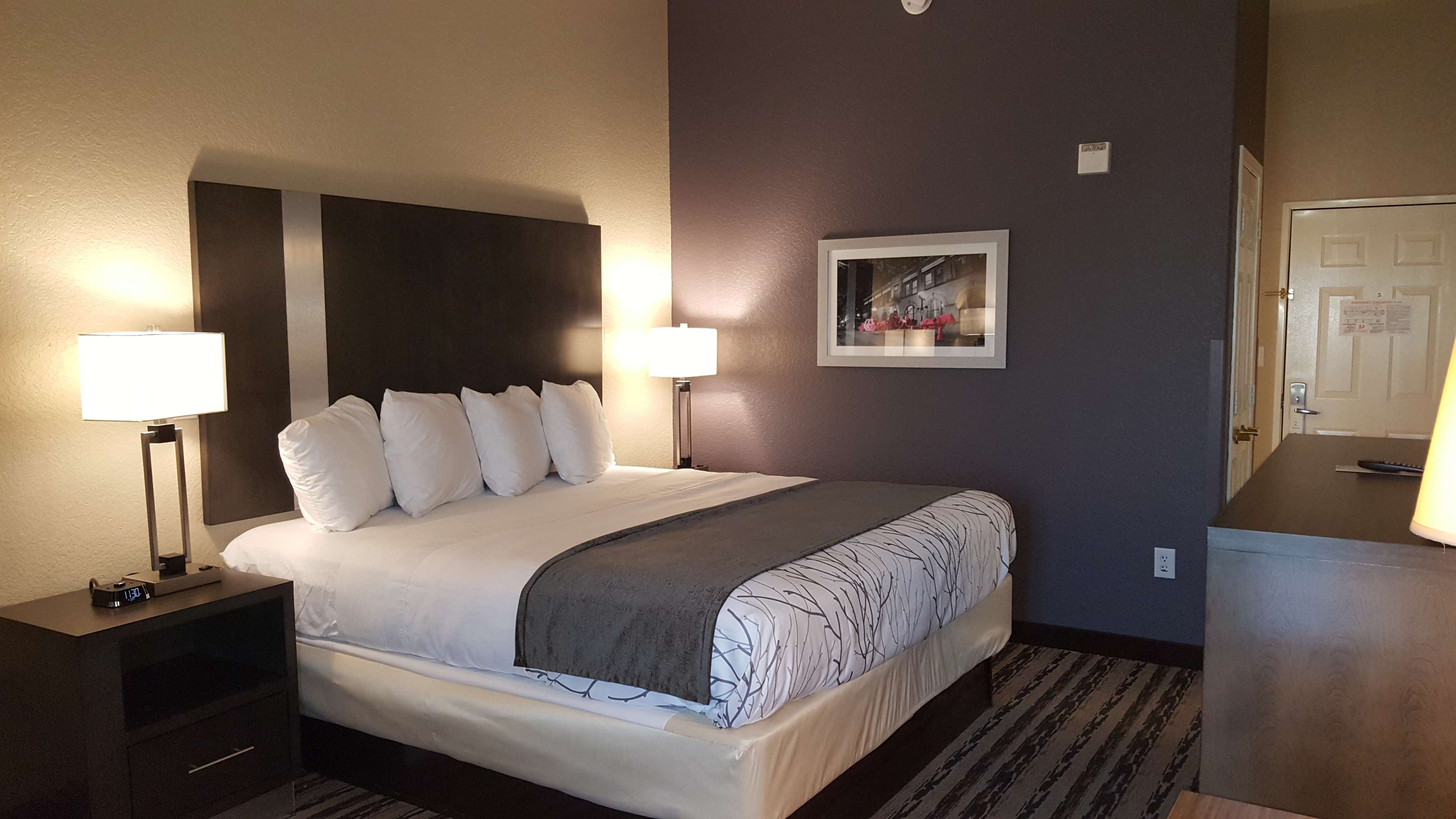Best Western Boerne Inn & Suites