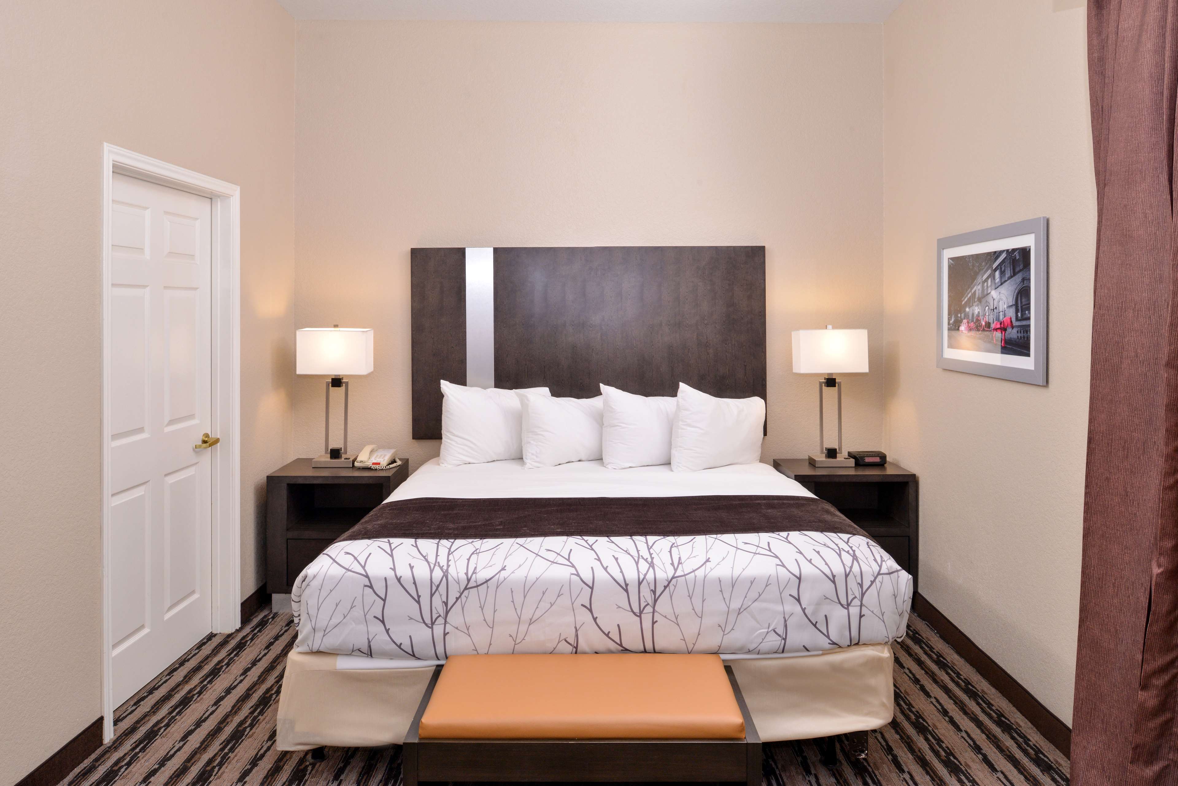 Best Western Boerne Inn & Suites