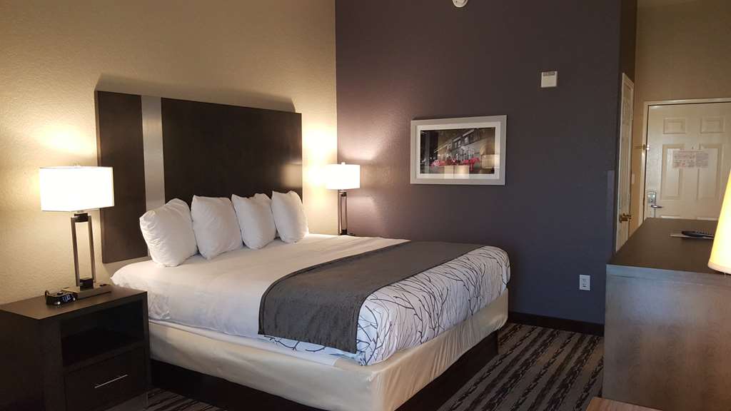 Best Western Boerne Inn & Suites