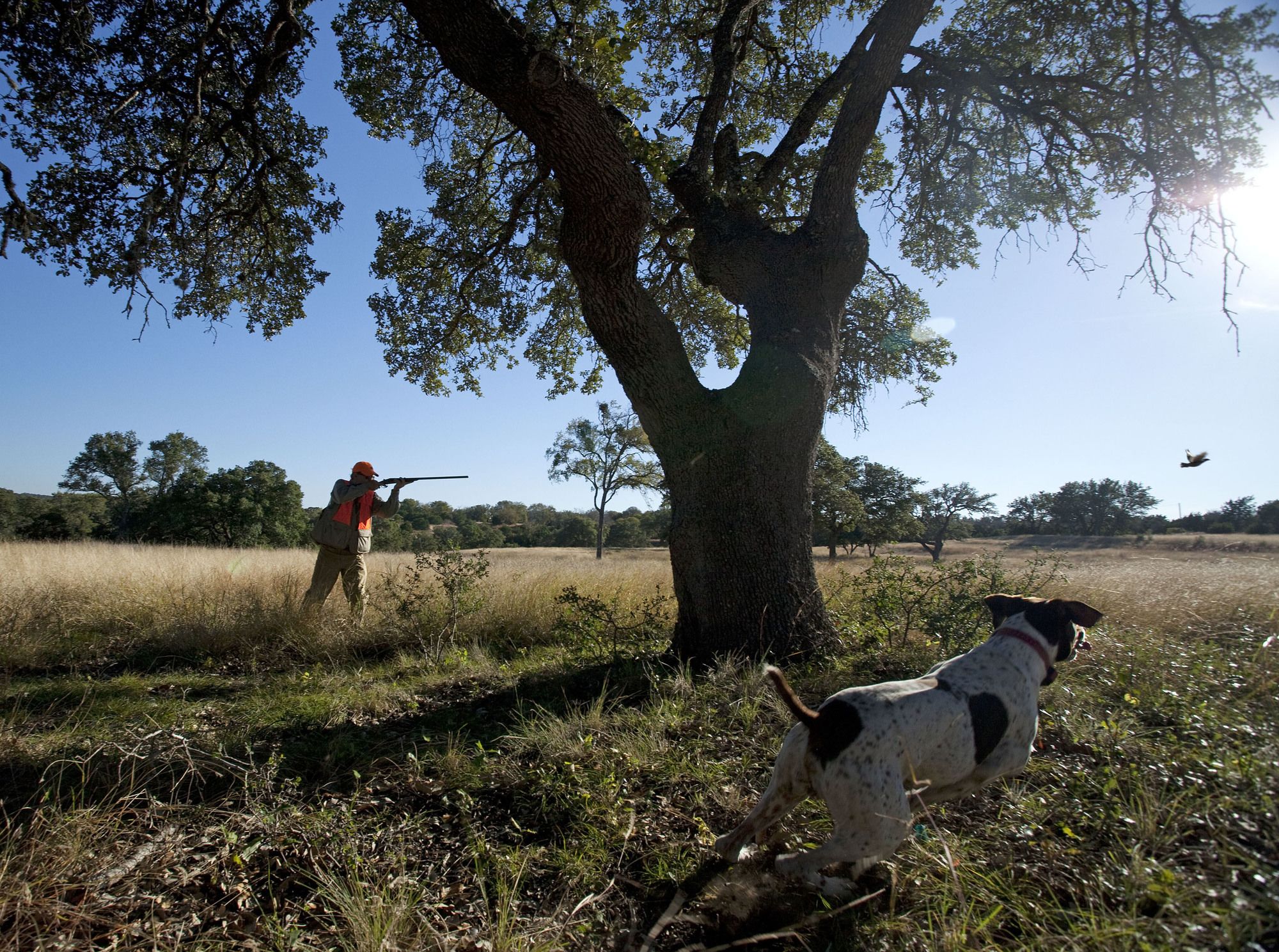 Joshua Creek Ranch