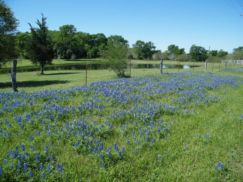 Best Western Inn Of Brenham