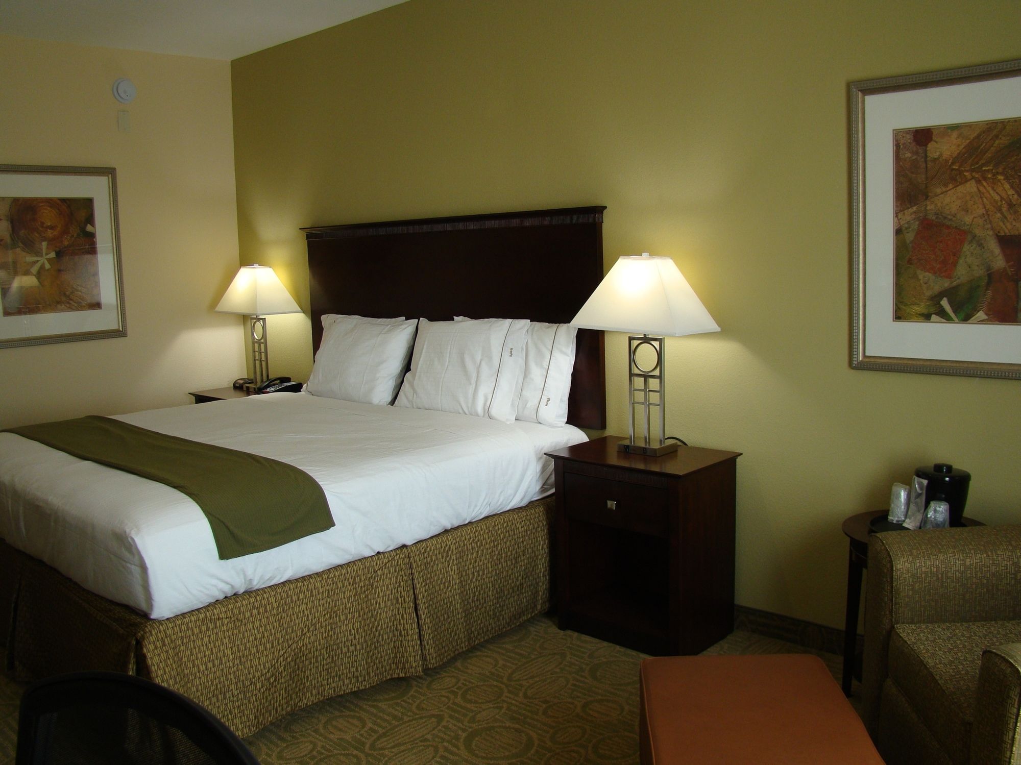 Holiday Inn Express Hotel & Suites Brownfield