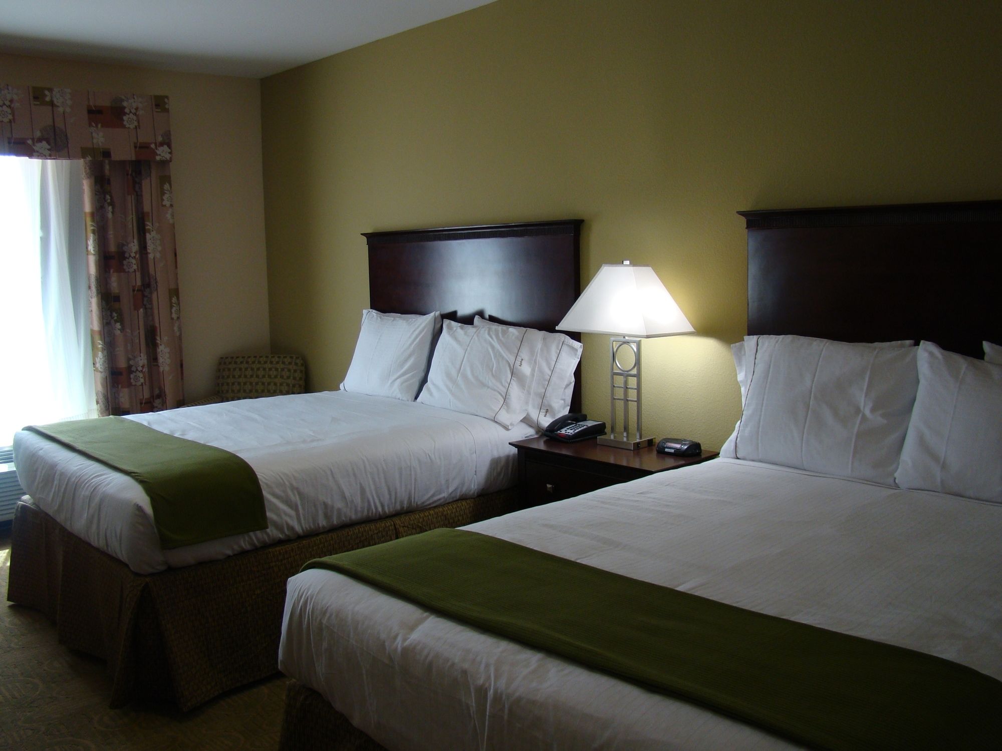 Holiday Inn Express Hotel & Suites Brownfield