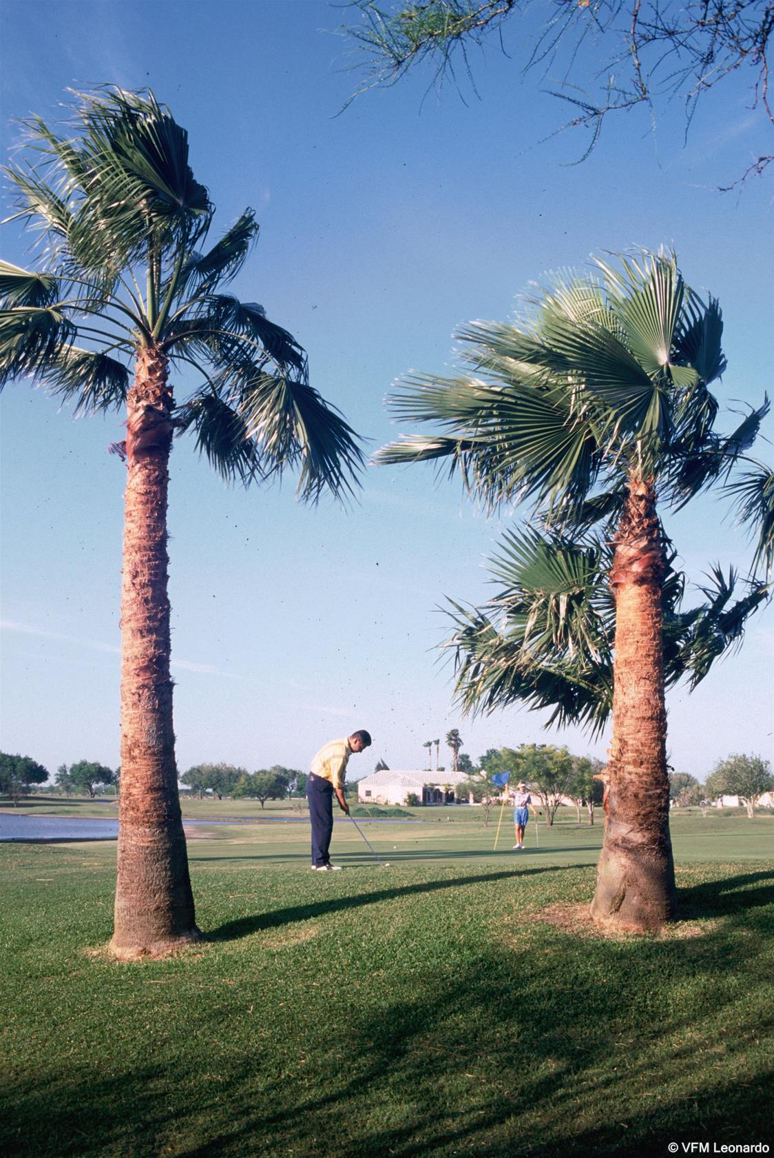 Rancho Viejo Resort & CC