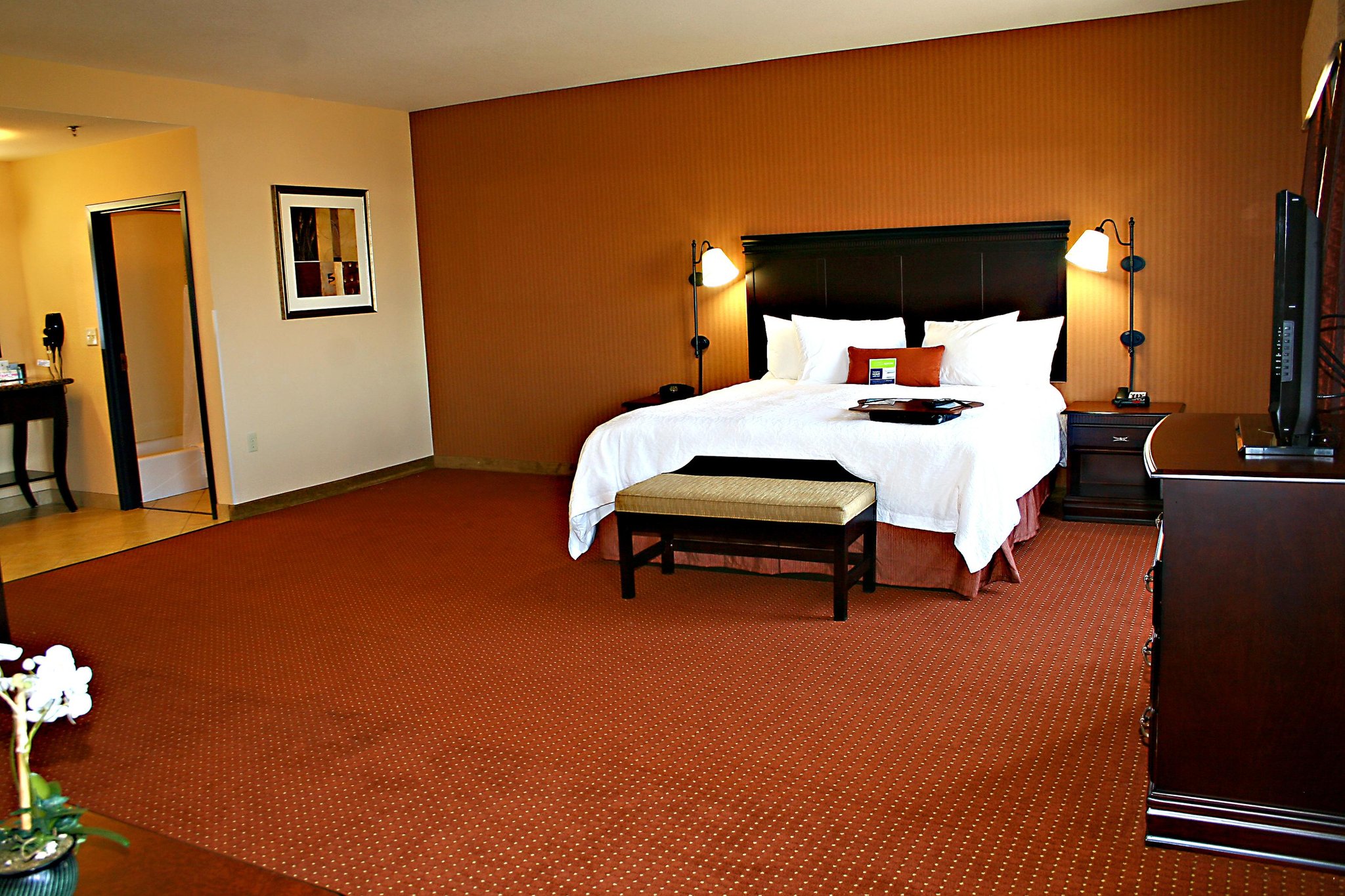 Hampton Inn & Suites Buda