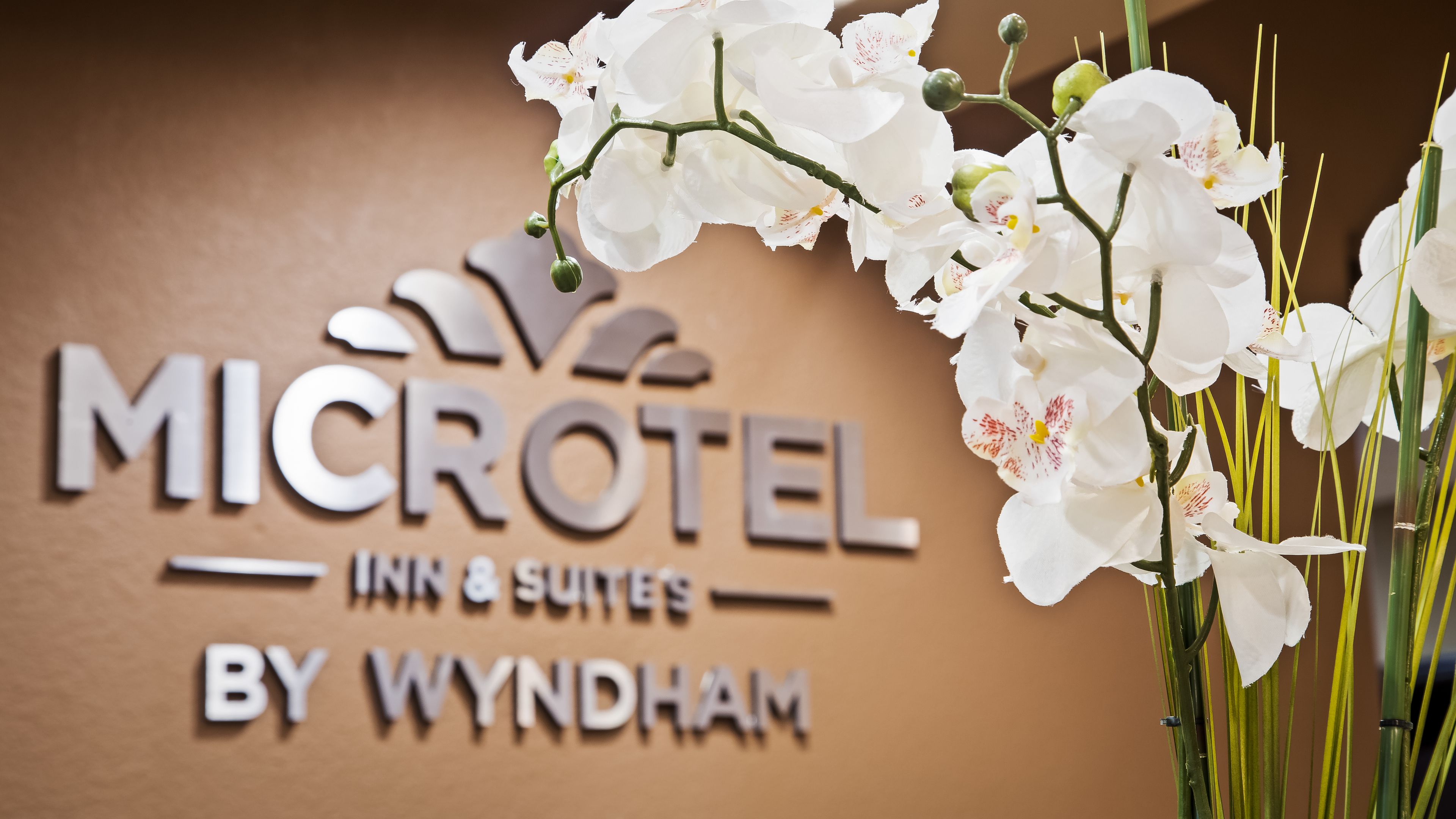 Microtel Inn & Suites by Wyndham Buda Austin South