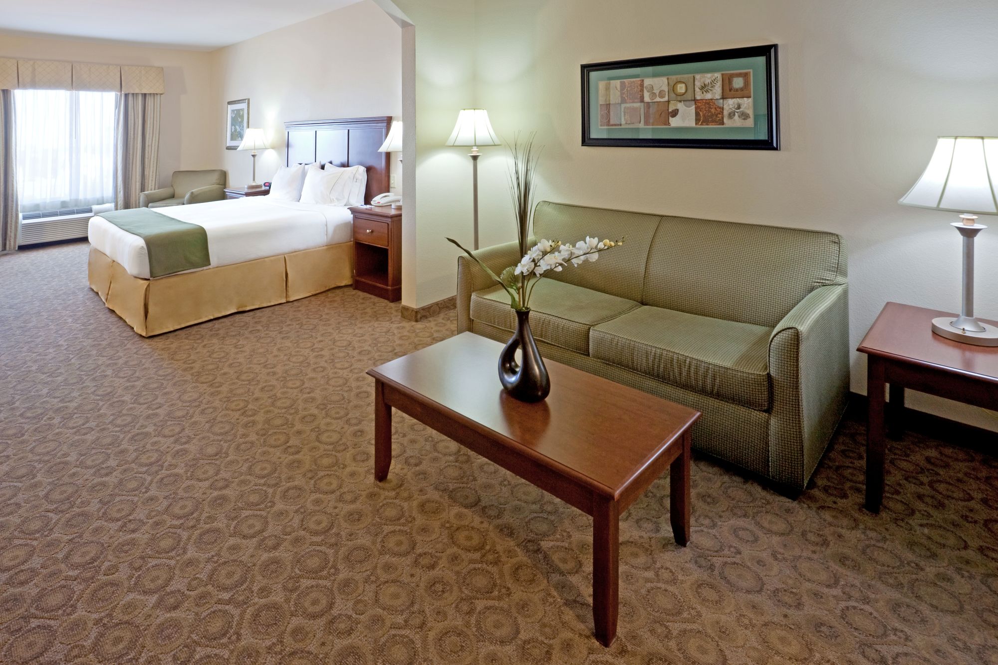 Holiday Inn Express & Suites Dallas Southwest-Cedar Hill, an IHG Hotel