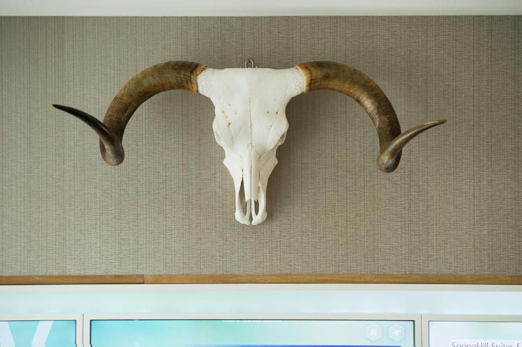 SpringHill Suites Austin Cedar Park