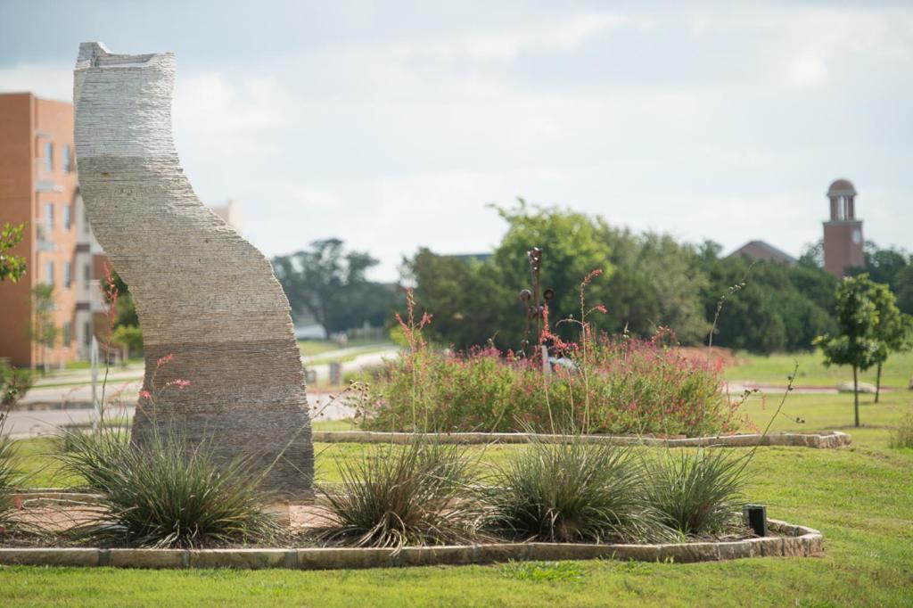 SpringHill Suites Austin Cedar Park