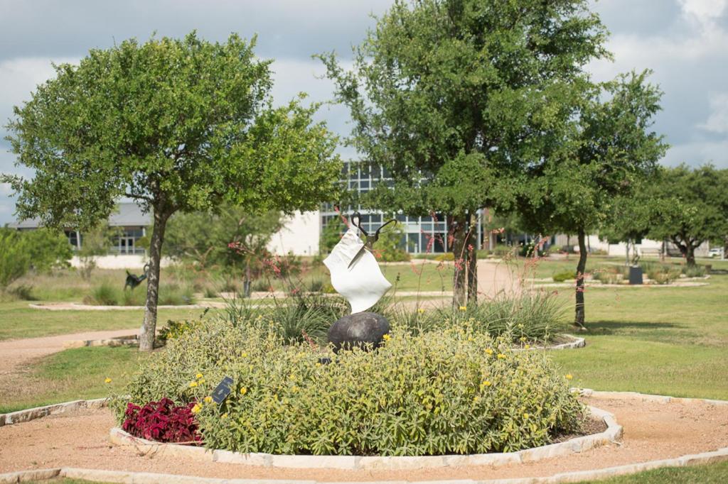 SpringHill Suites Austin Cedar Park