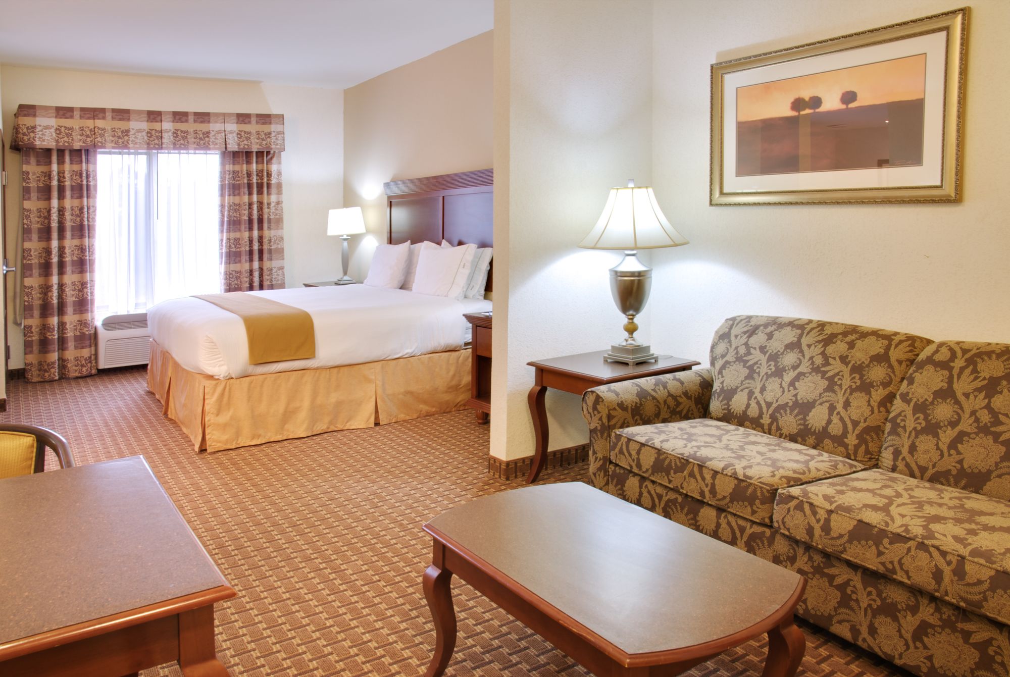 Holiday Inn Express Hotel & Suites Center