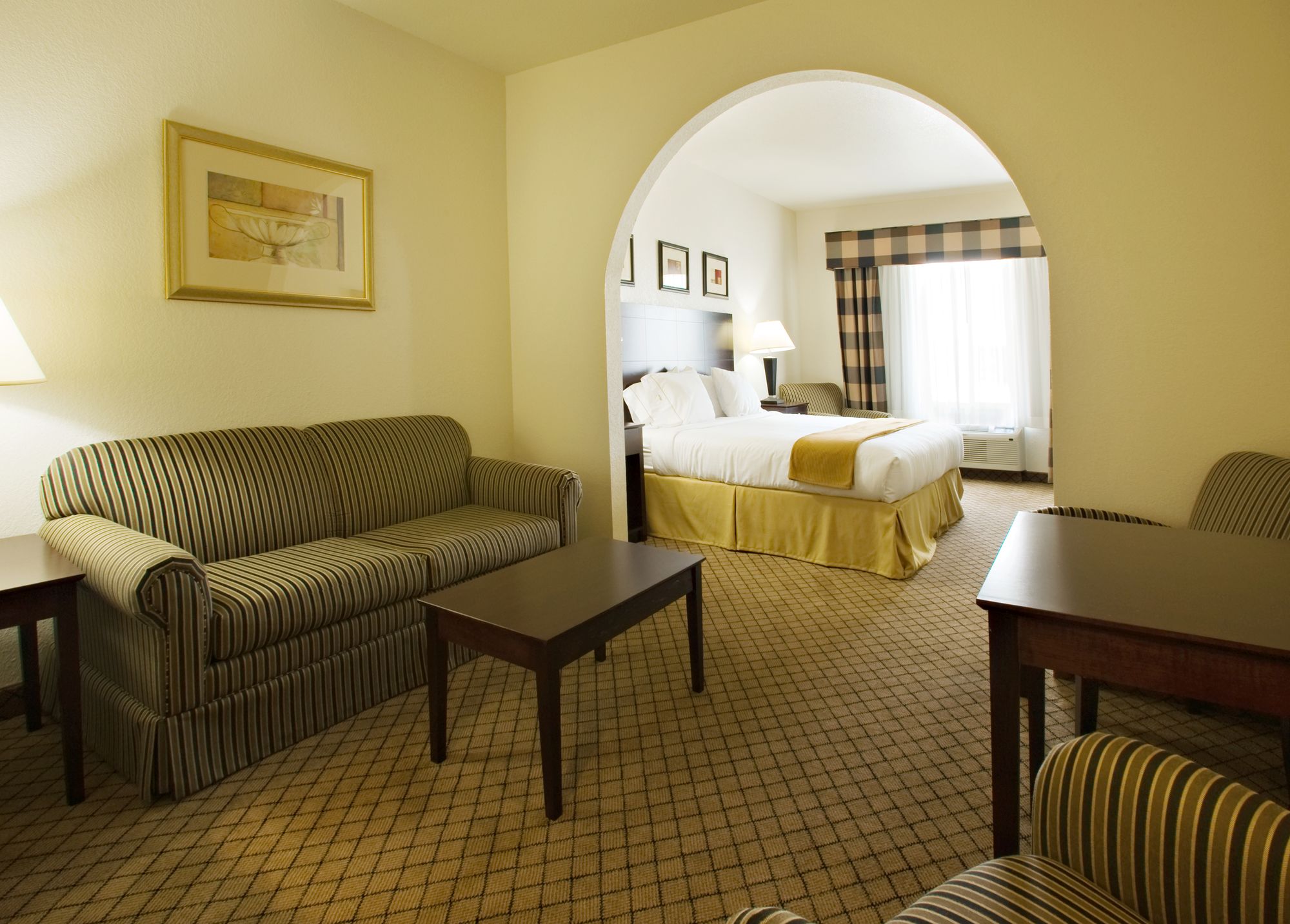 Holiday Inn Express Hotel & Suites Childress