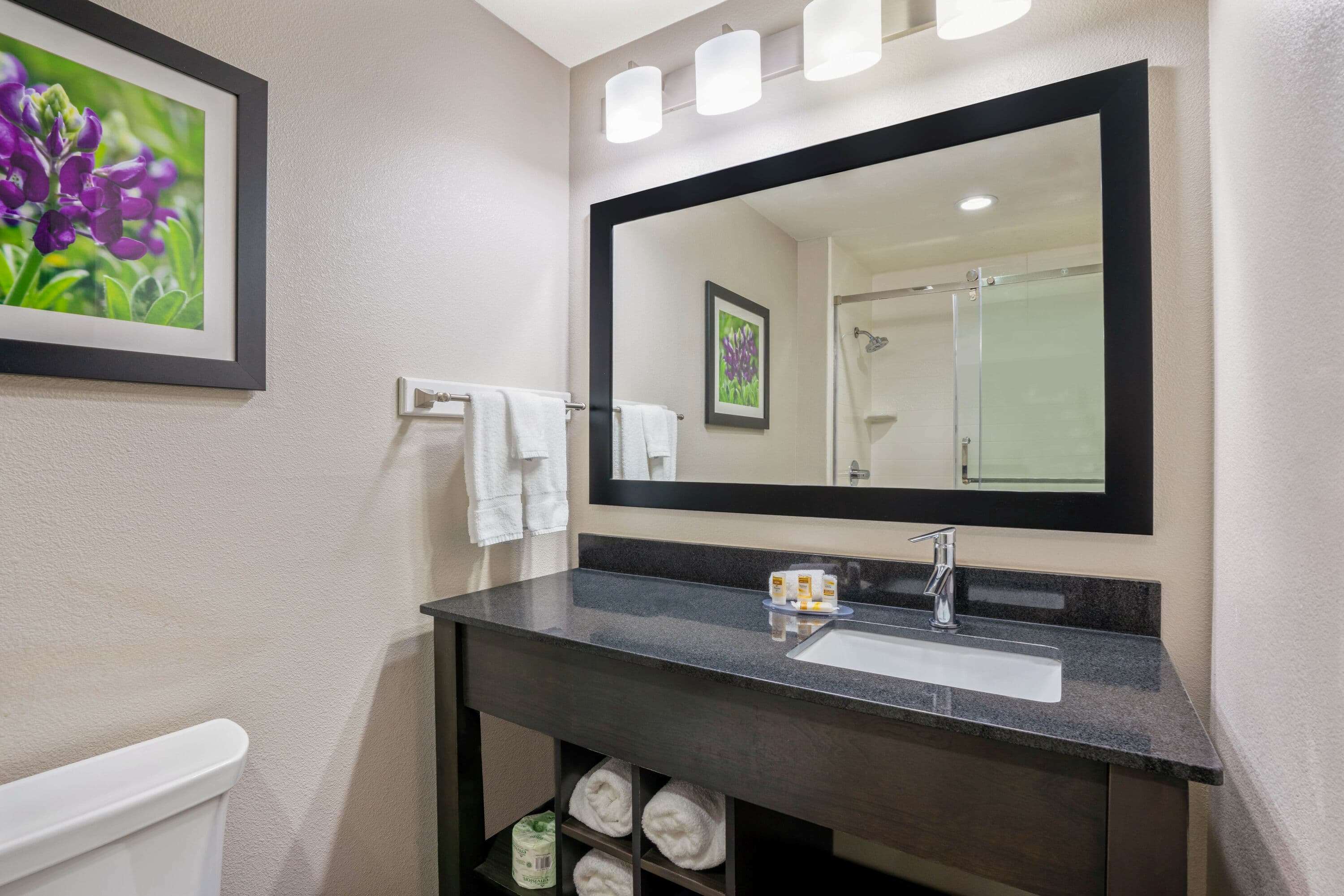 La Quinta Inn & Suites by Wyndham College Station South