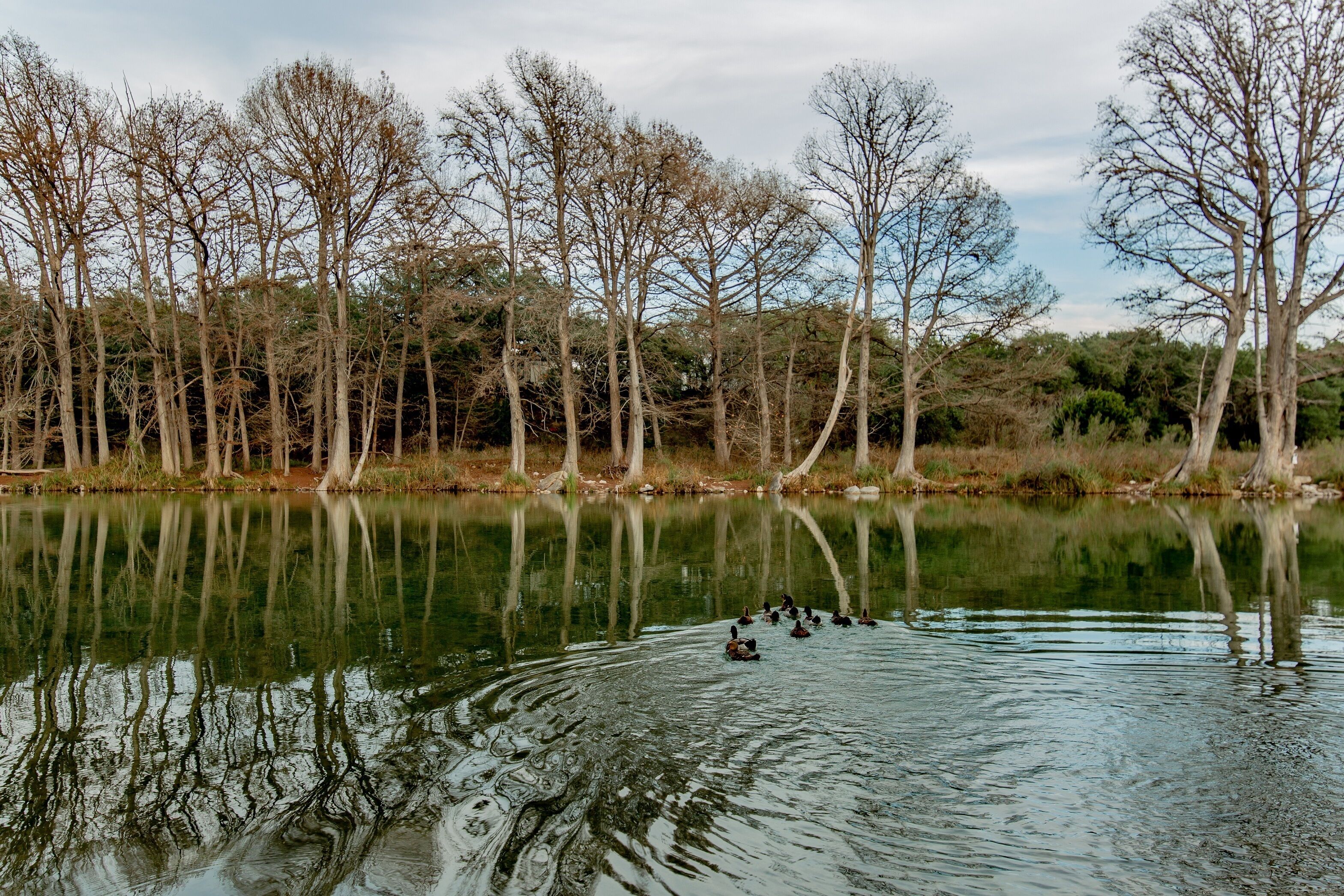 Seven Bluff Cabins