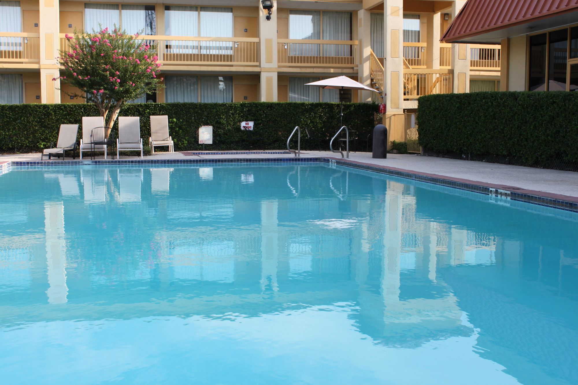 Hotel Elev8