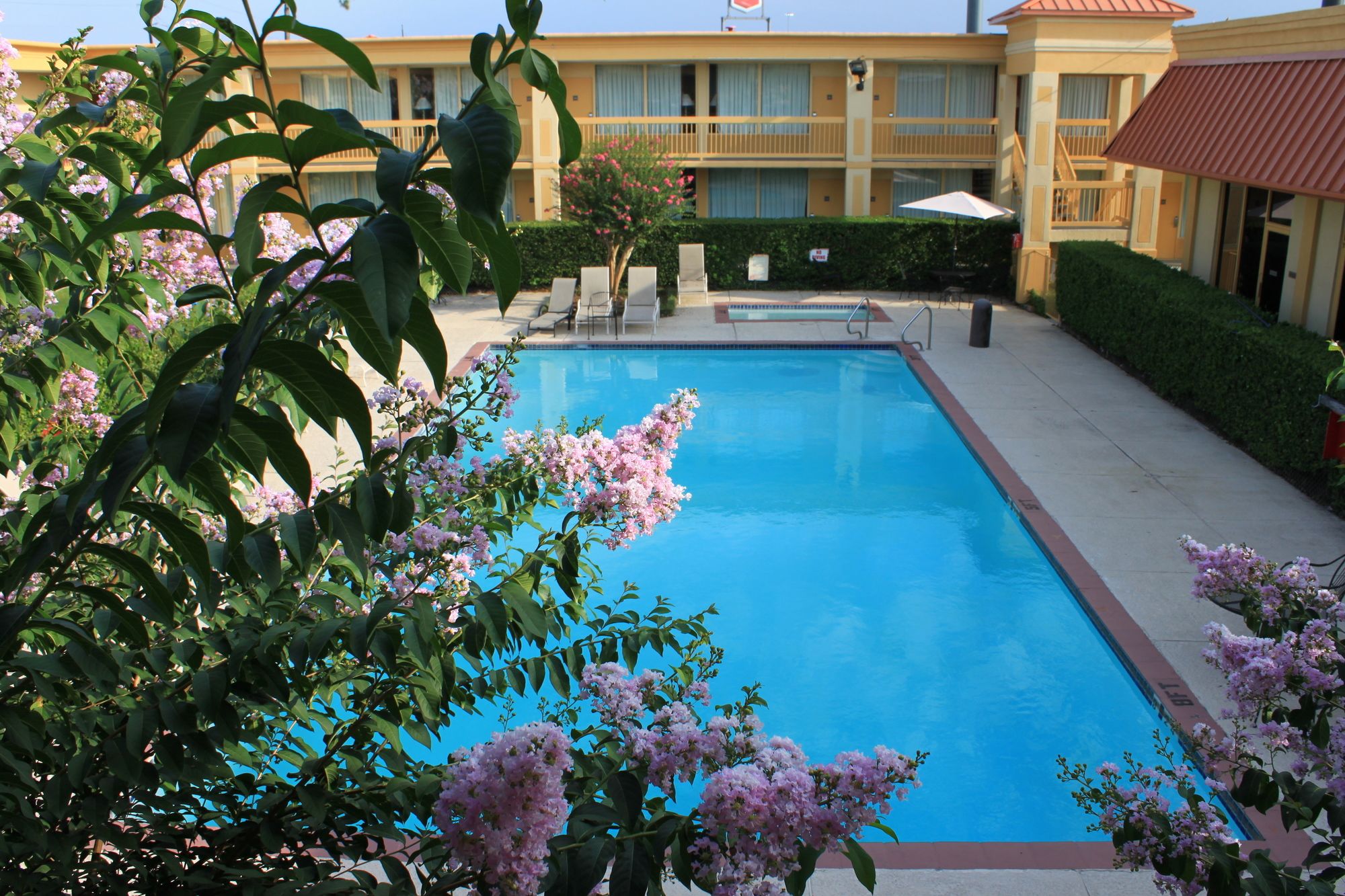 Hotel Elev8