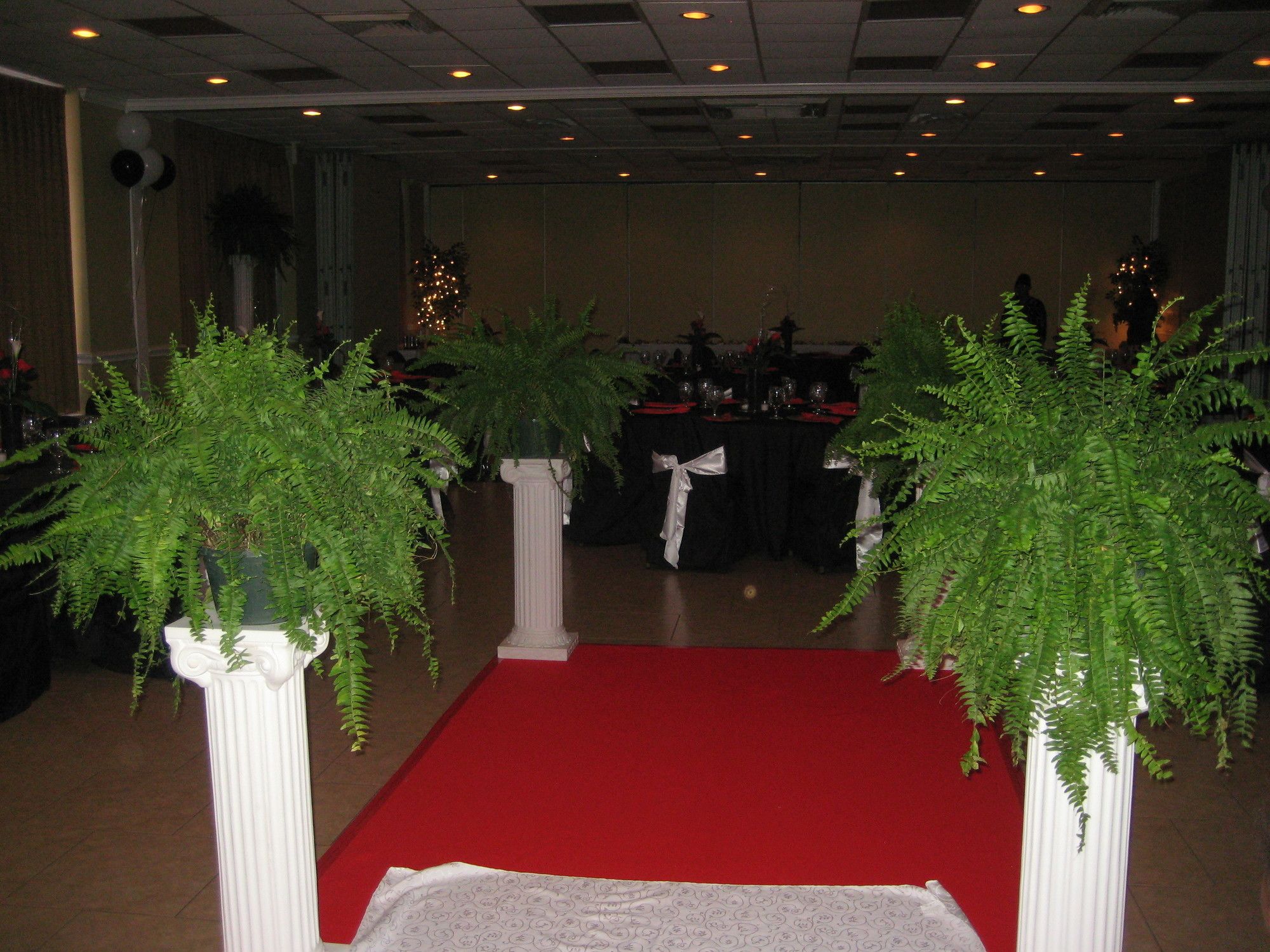 Hotel Elev8