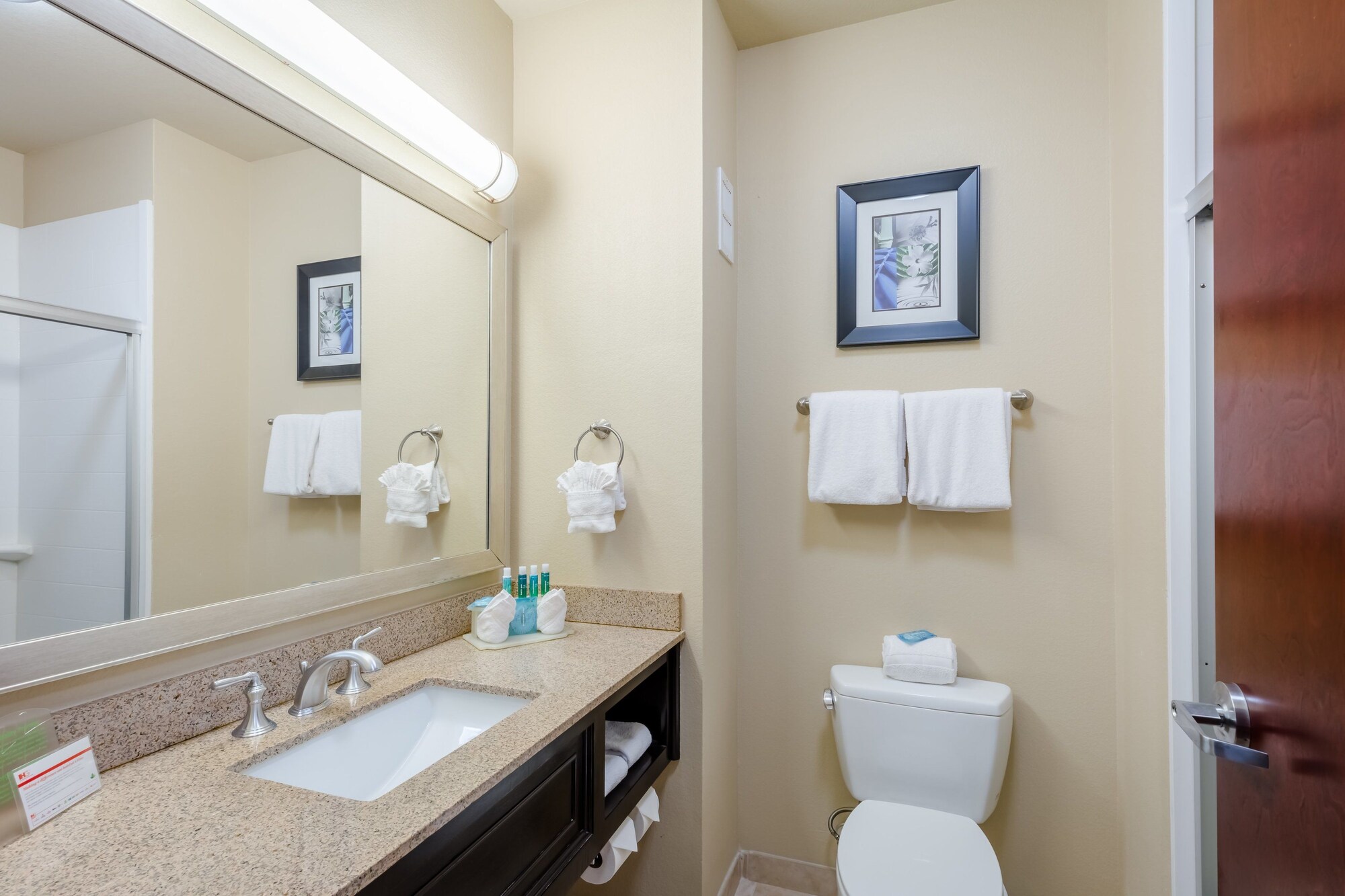 Holiday Inn Express Hotel & Suites Dallas West
