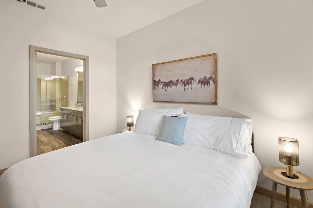 Kasa Dallas Medical District Apartments
