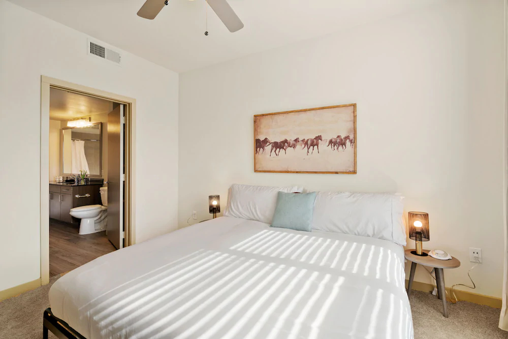 Kasa Dallas Medical District Apartments