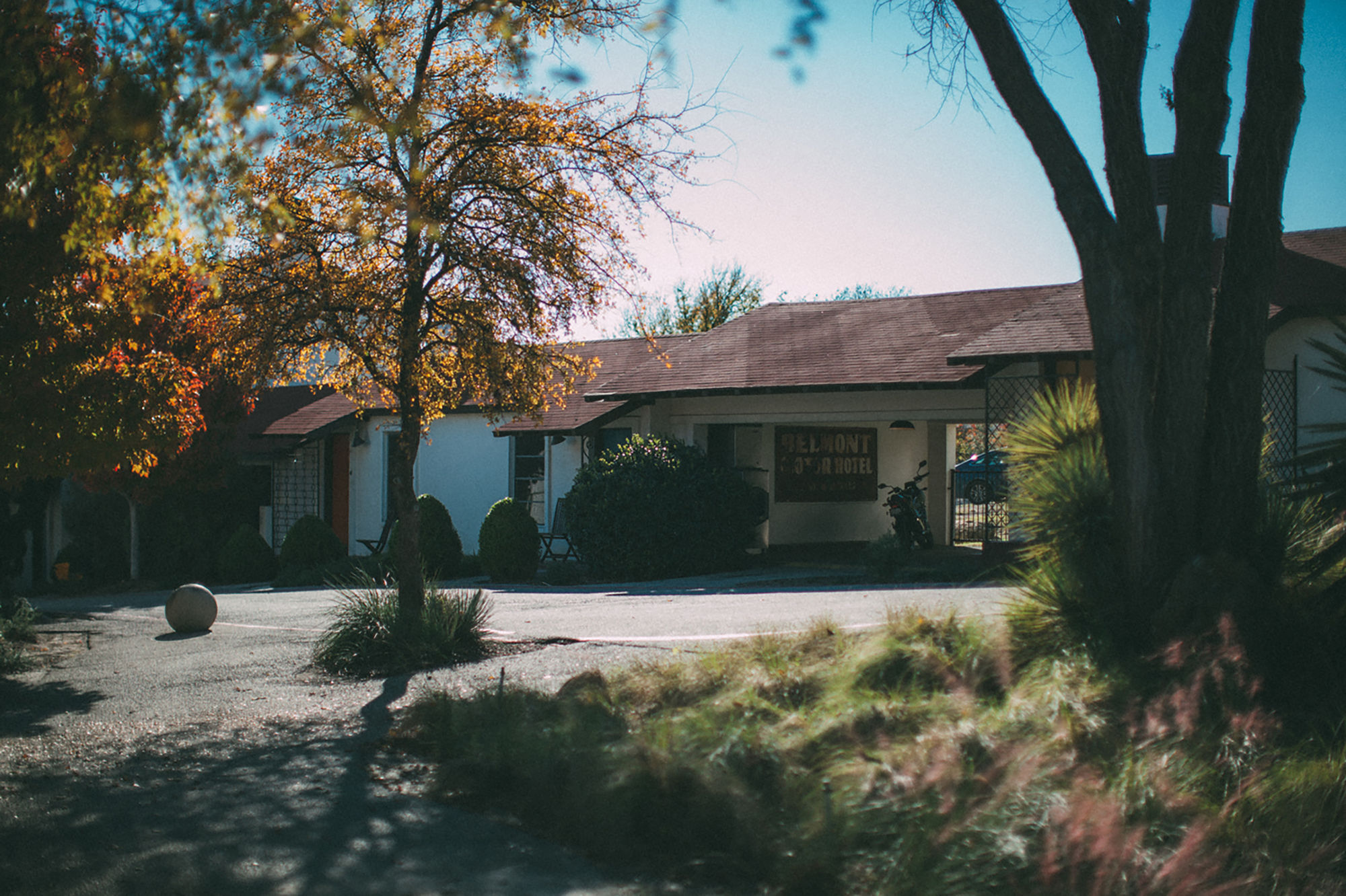 The Belmont