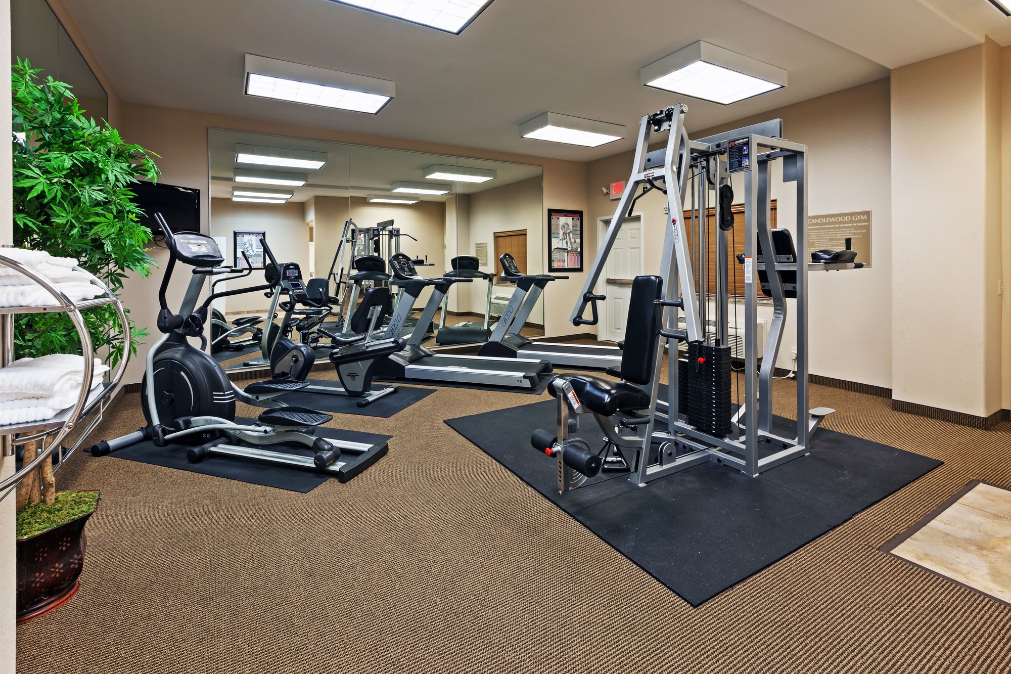 Candlewood Suites DEER PARK