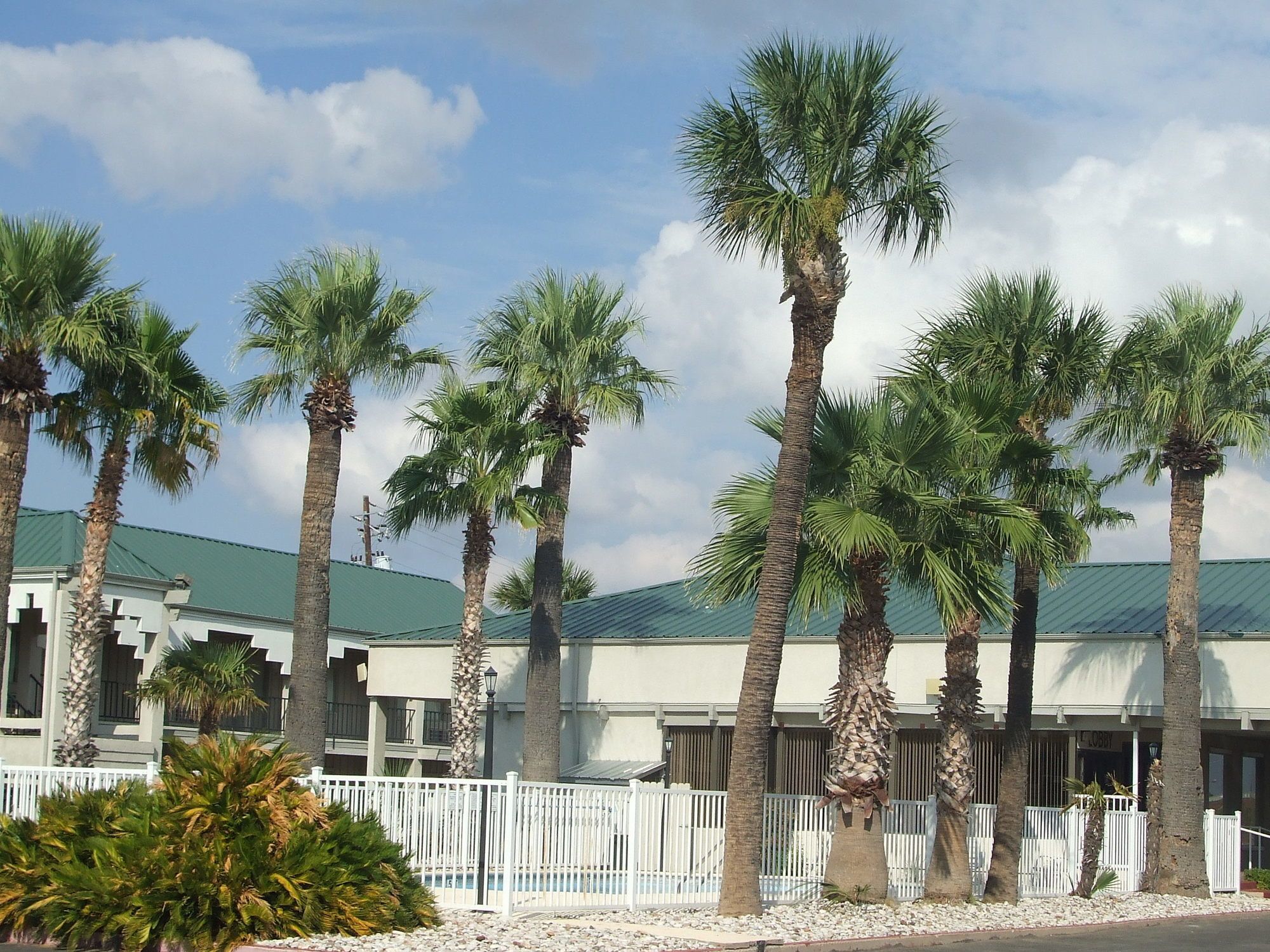 Econo Lodge Del Rio