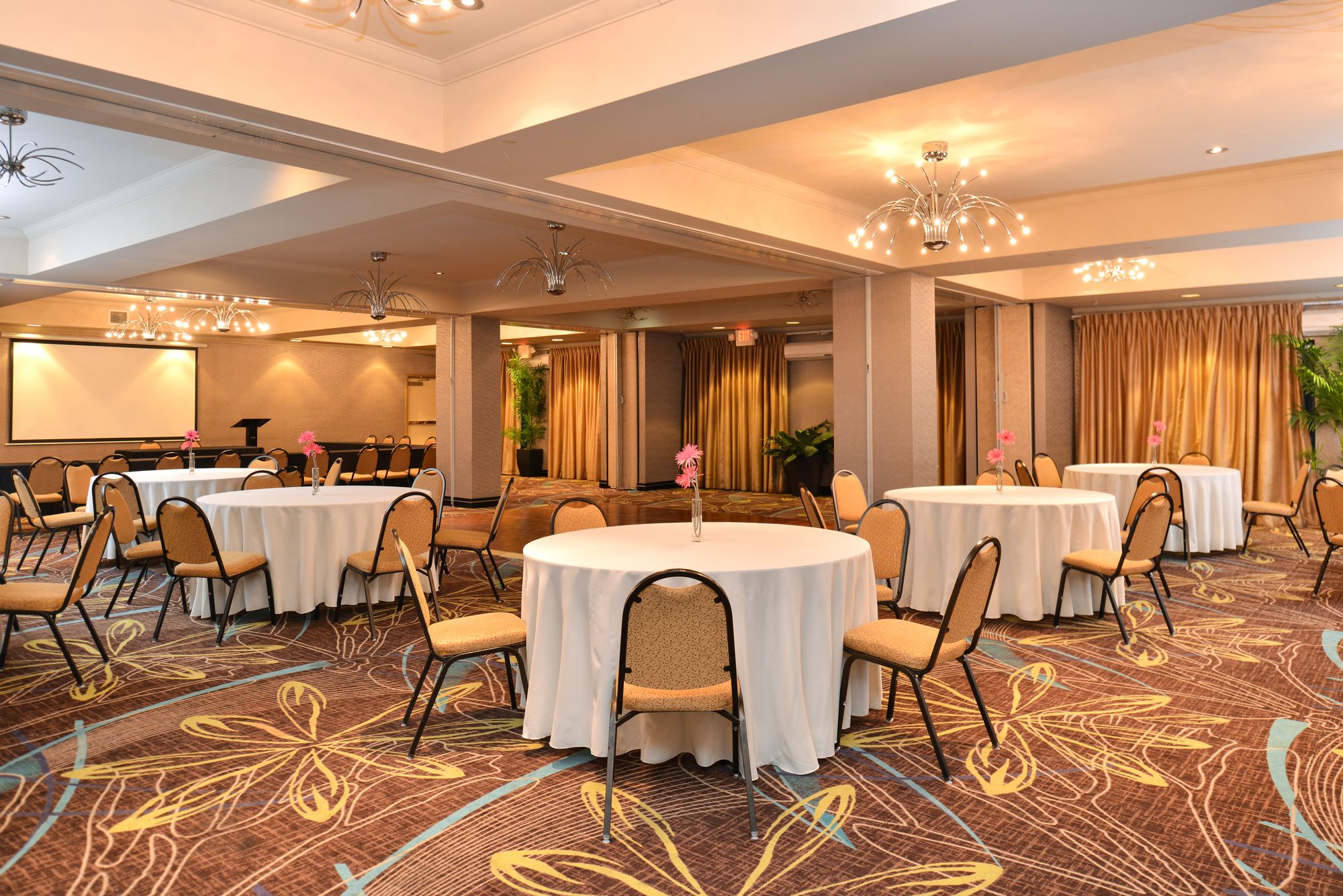 Holiday Inn Express Hotel & Suites Dallas South - Desoto