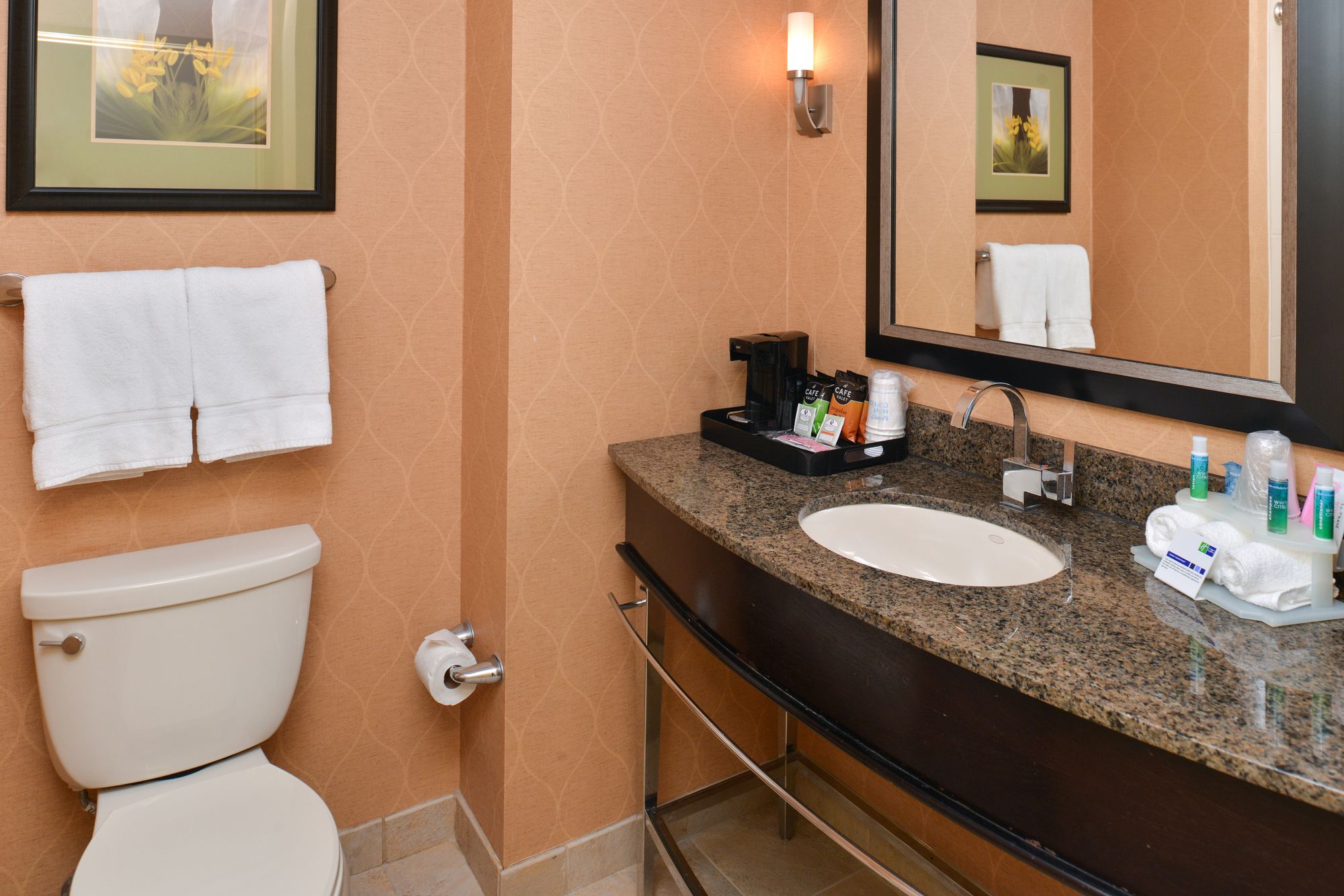 Holiday Inn Express Hotel & Suites Dallas South - Desoto