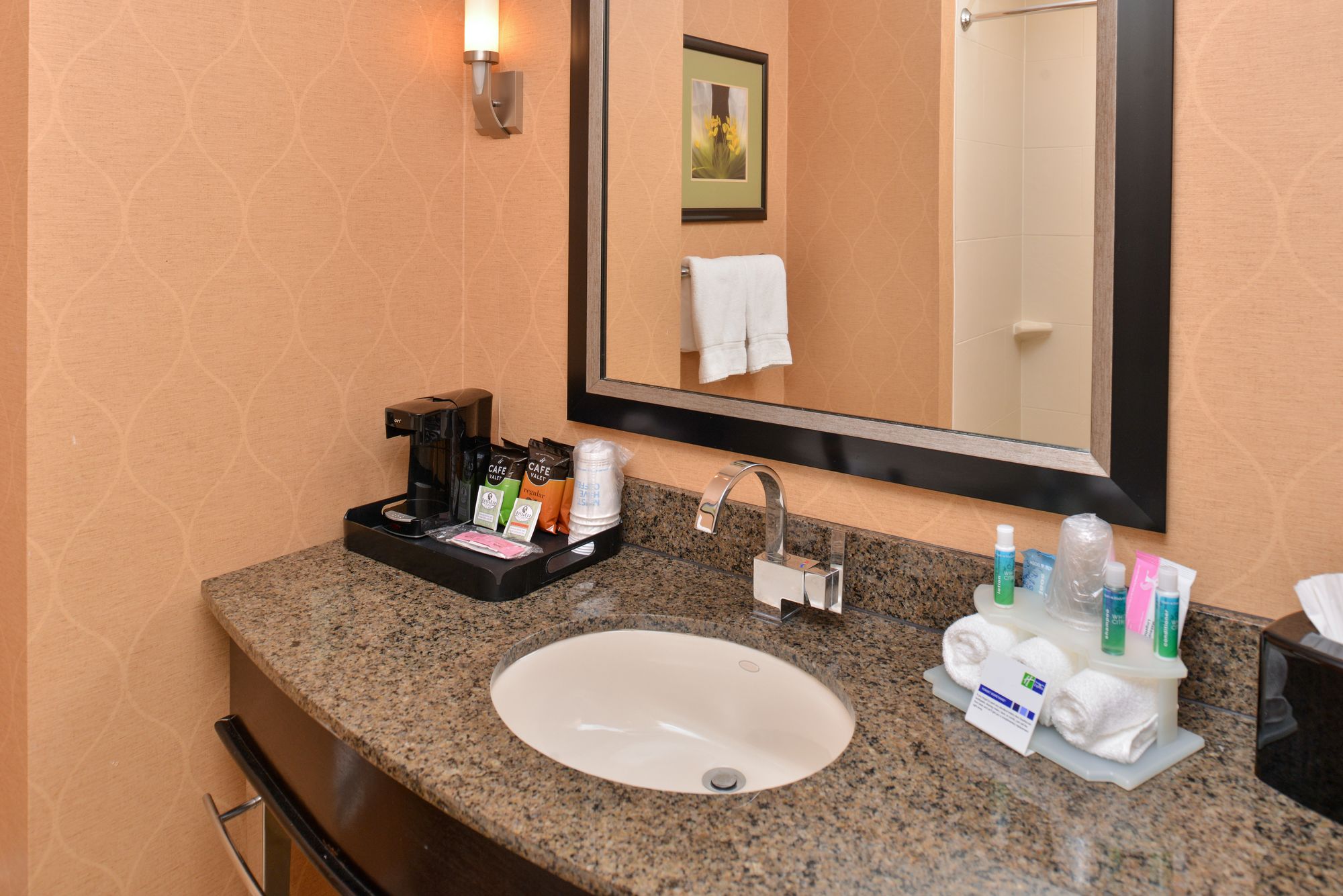 Holiday Inn Express Hotel & Suites Dallas South - Desoto