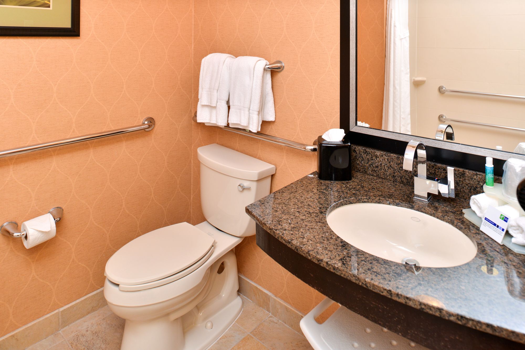 Holiday Inn Express Hotel & Suites Dallas South - Desoto