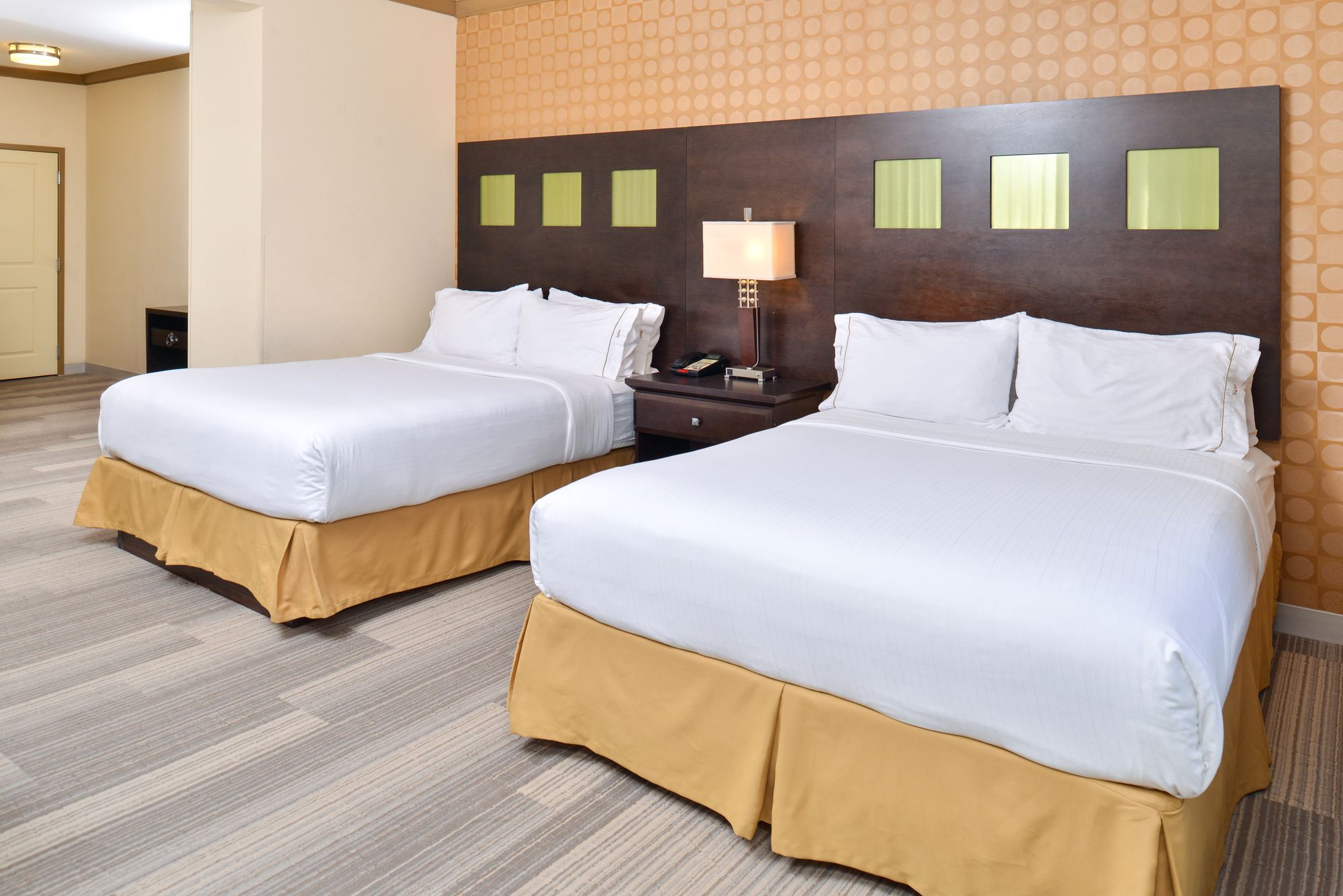 Holiday Inn Express Hotel & Suites Dallas South - Desoto