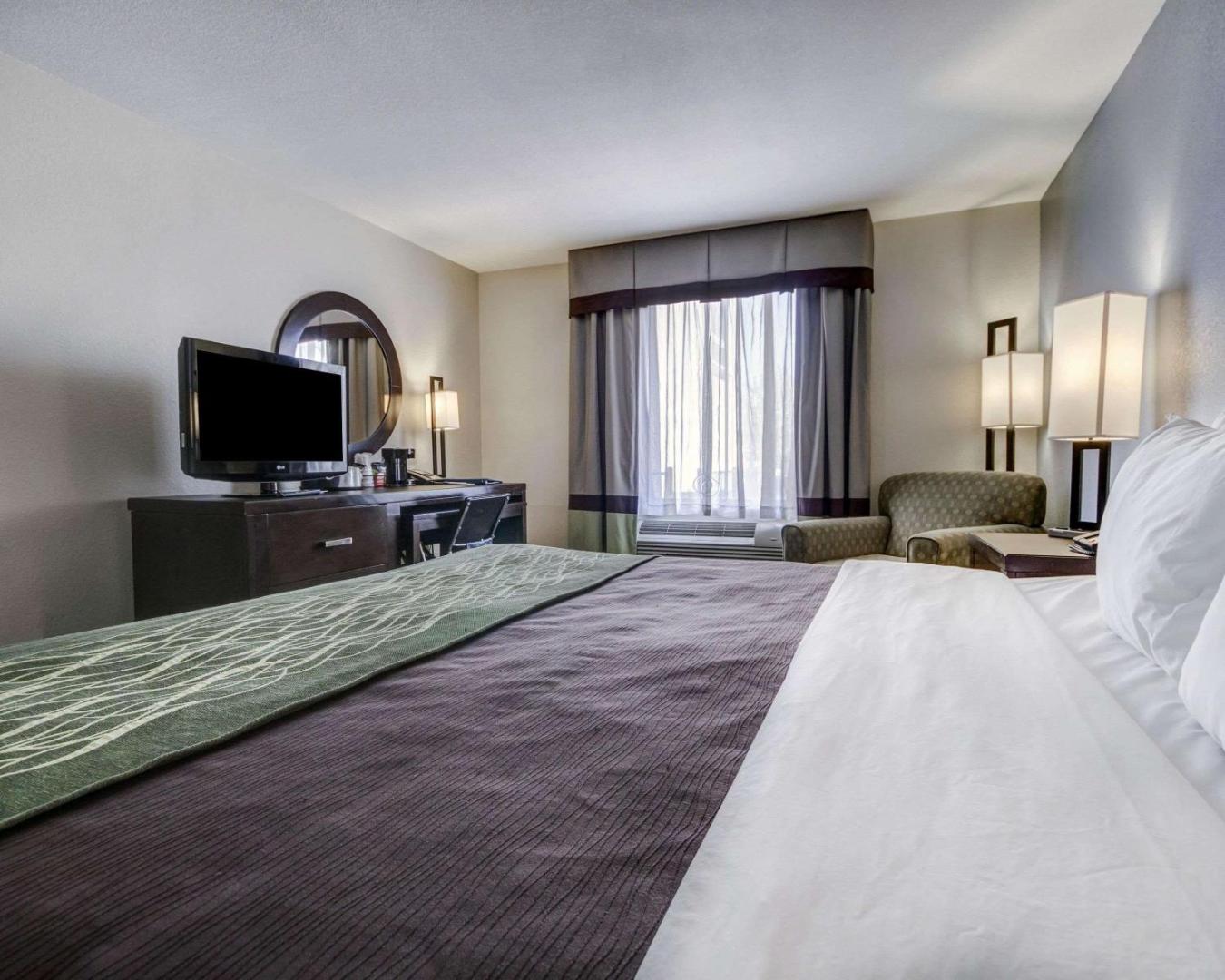 Comfort Inn & Suites I-10 Airport