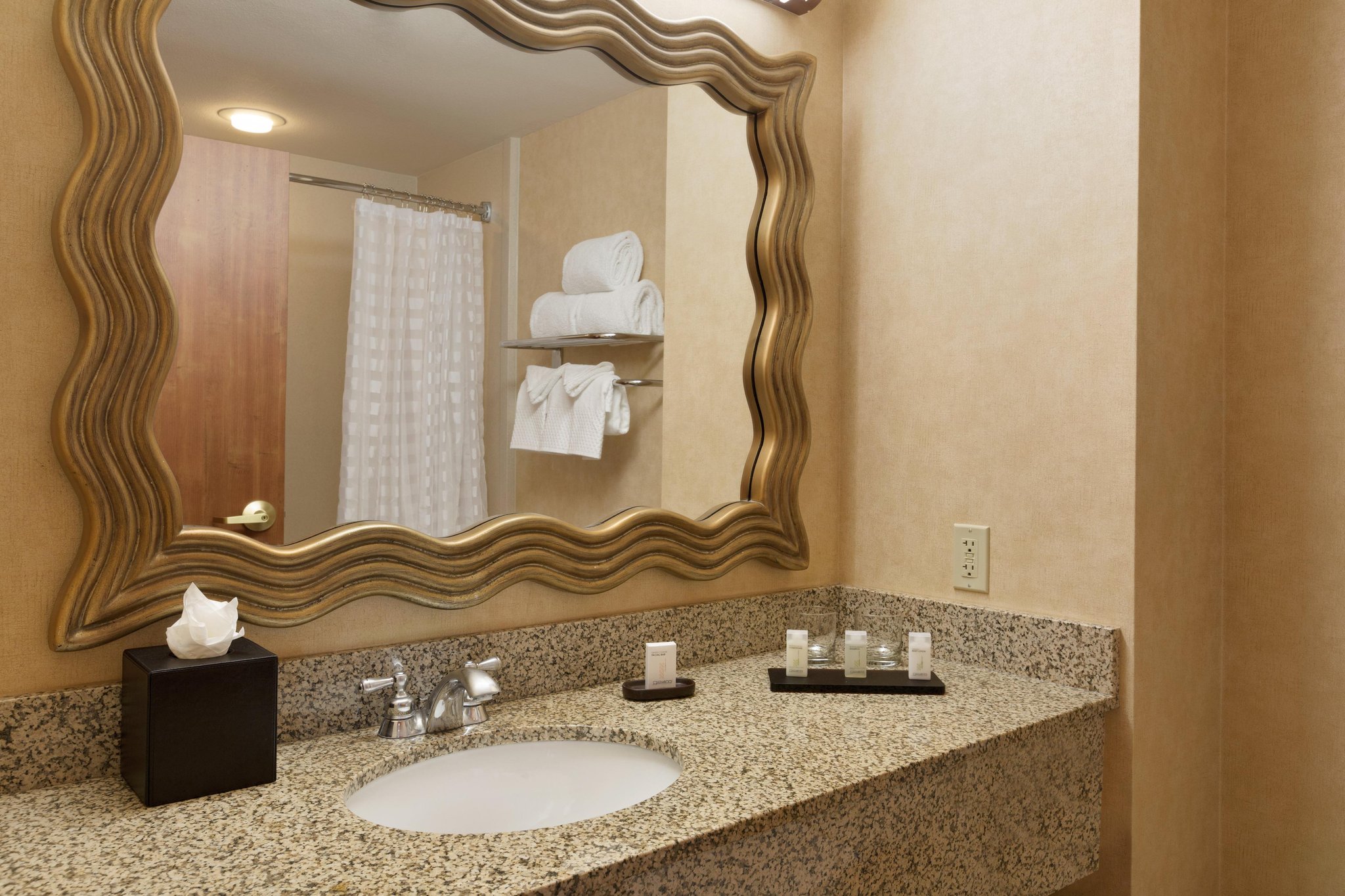 Embassy Suites Dallas Frisco Convention & Spa