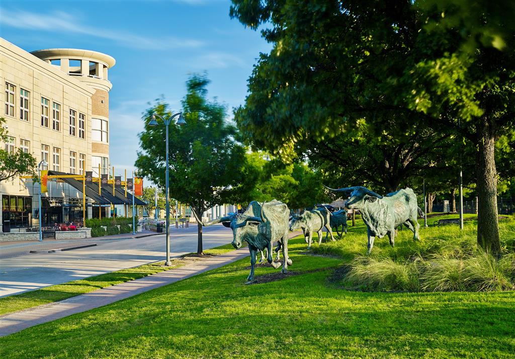 Sheraton Stonebriar