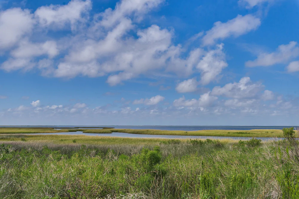 Pointe West